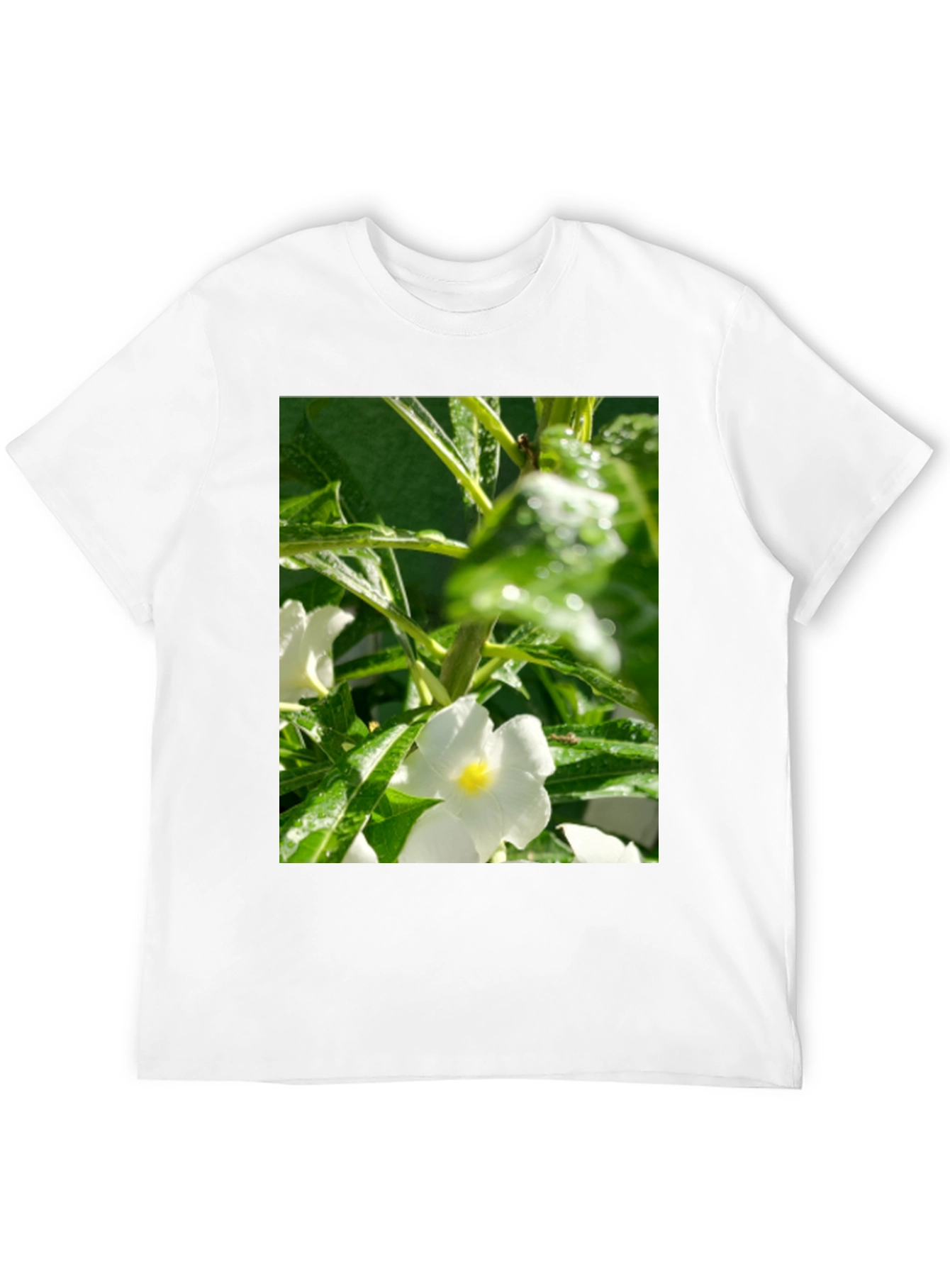 Floral Print T-Shirt: Fresh & Stylish