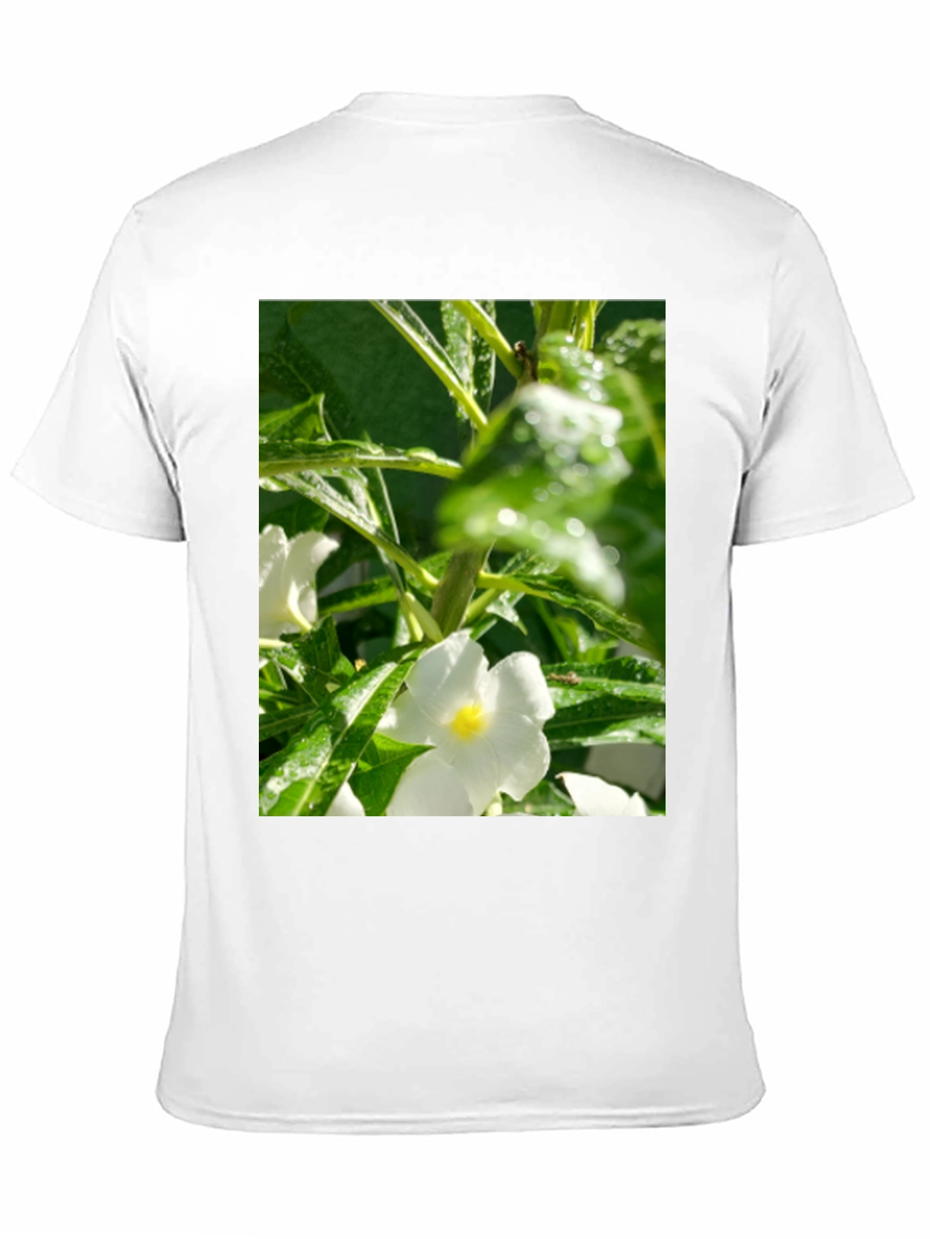 Floral Print T-Shirt: Fresh & Stylish