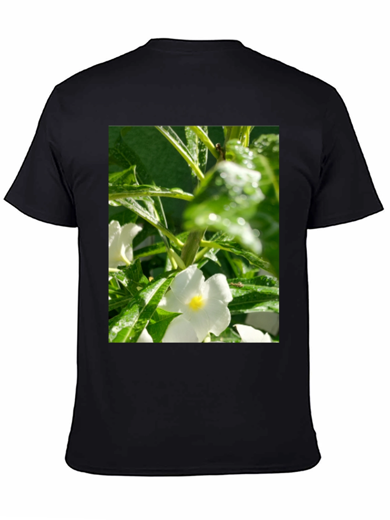 Floral Print T-Shirt: Fresh & Stylish
