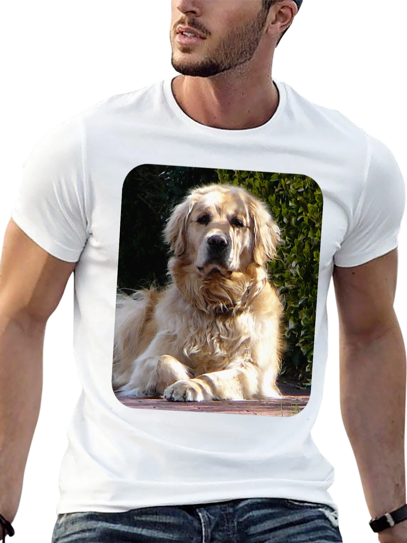 Golden Retriever Graphic Tee - Mens Black T-Shirt