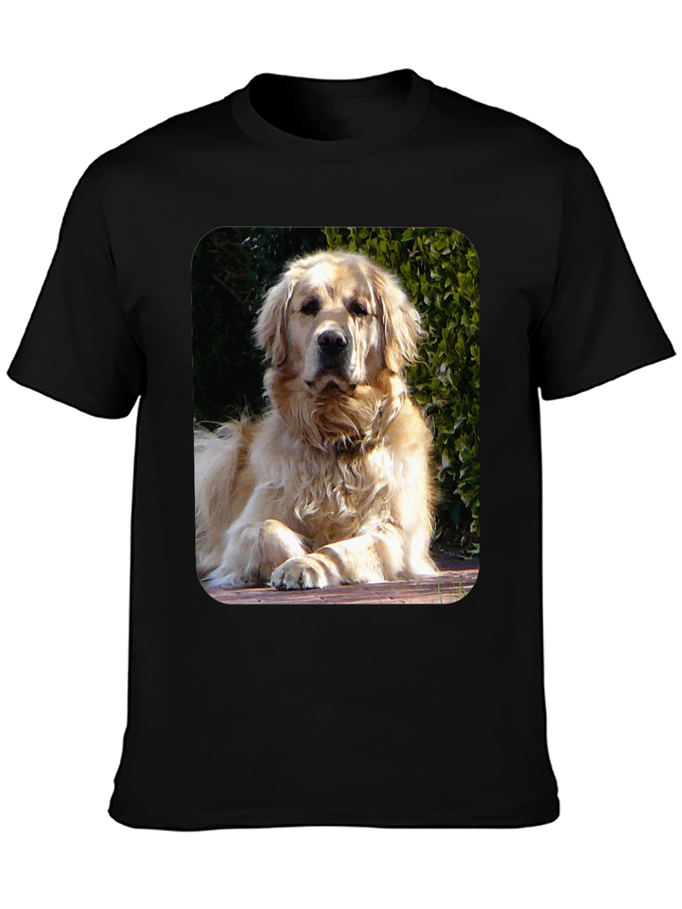 Golden Retriever Graphic Tee - Mens Black T-Shirt