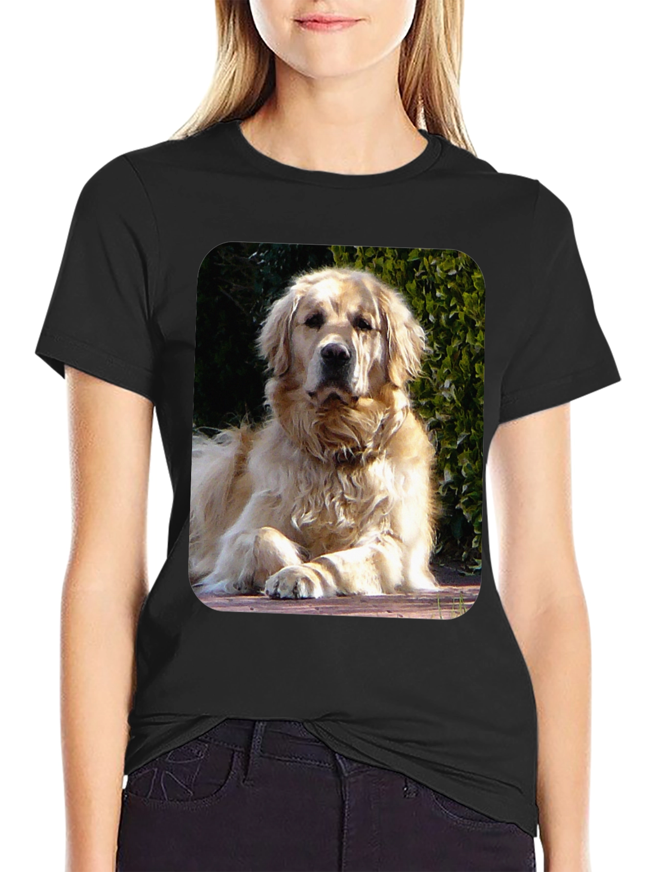 Golden Retriever Graphic Tee - Mens Black T-Shirt