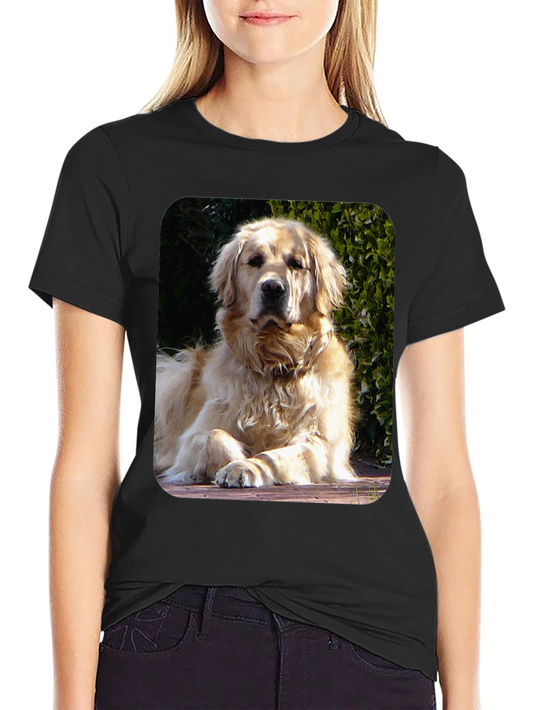 Golden Retriever Graphic Tee - Mens Black T-Shirt