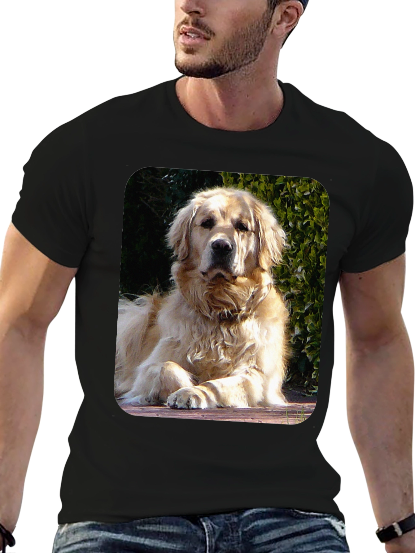 Golden Retriever Graphic Tee - Mens Black T-Shirt