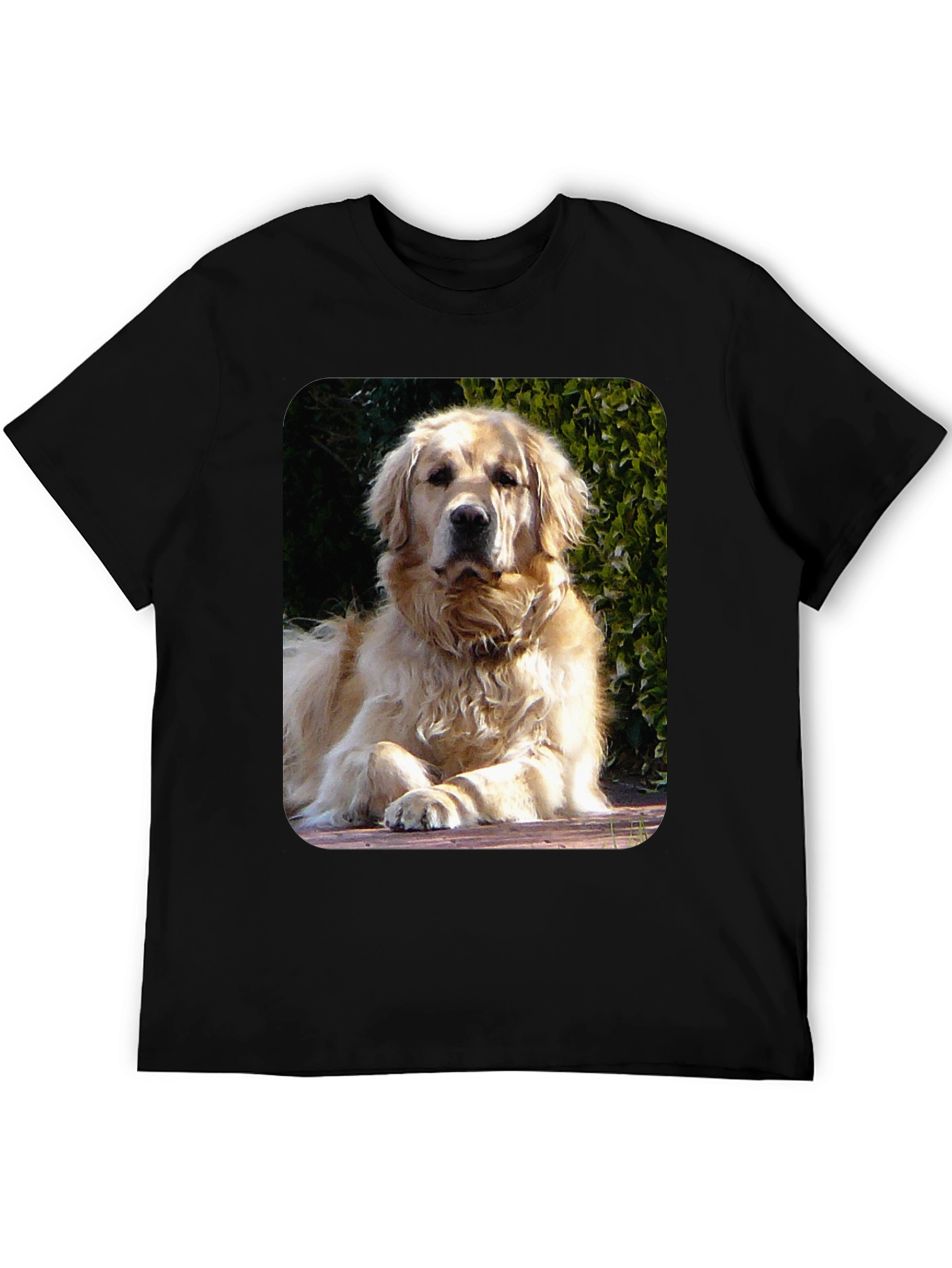 Golden Retriever Graphic Tee - Mens Black T-Shirt
