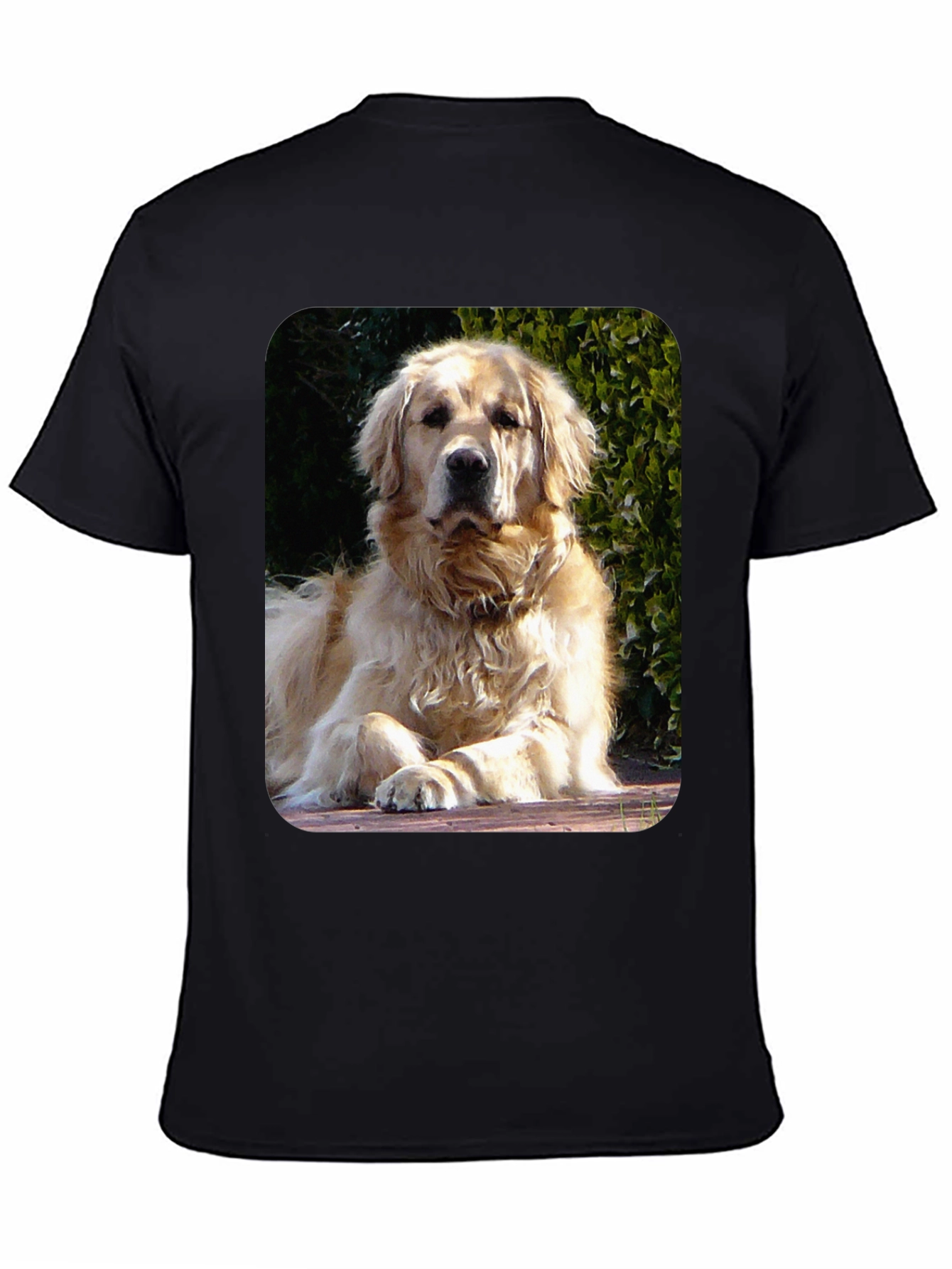 Golden Retriever Graphic Tee - Mens Black T-Shirt