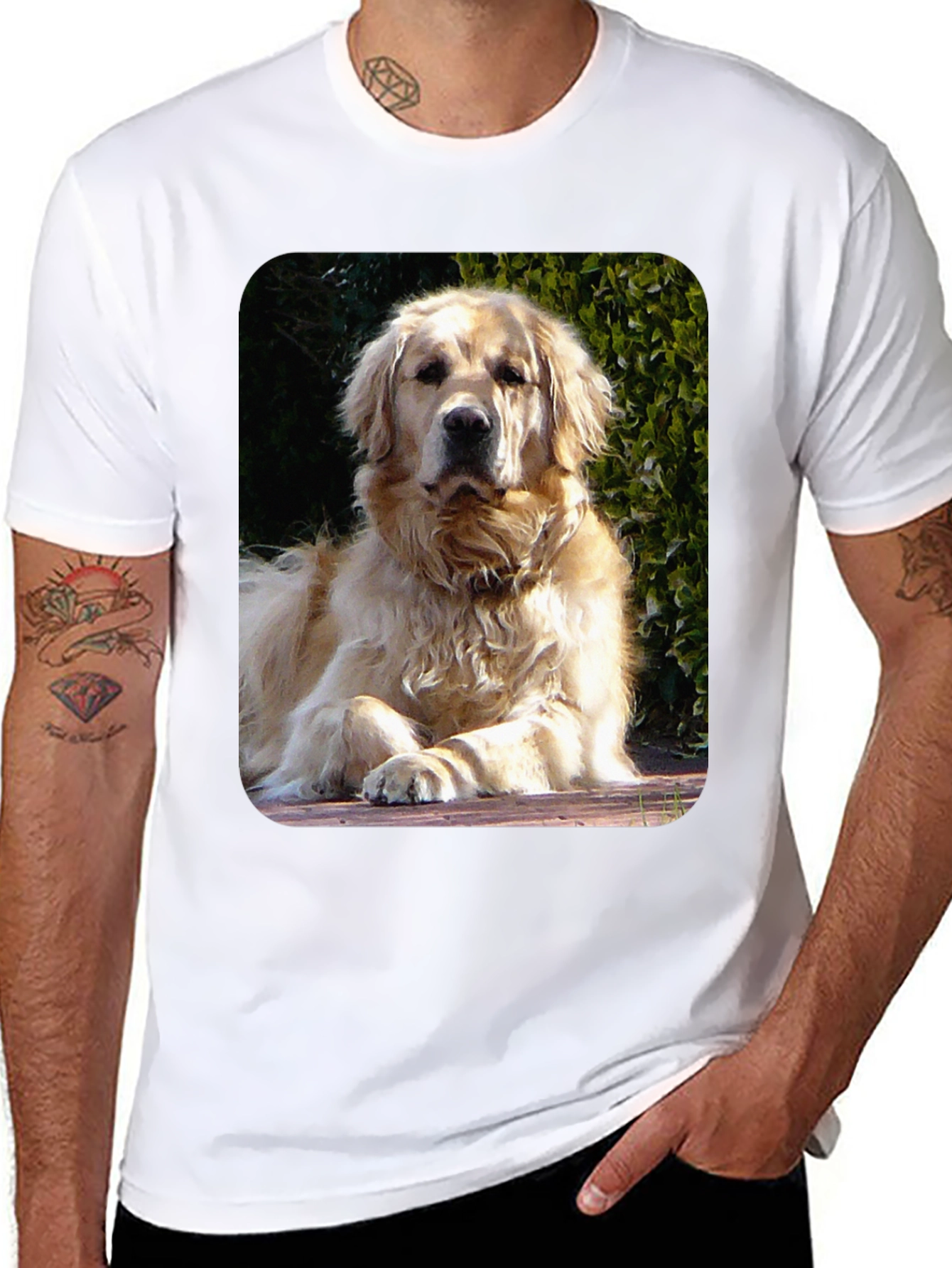 Golden Retriever Graphic Tee - Mens Black T-Shirt