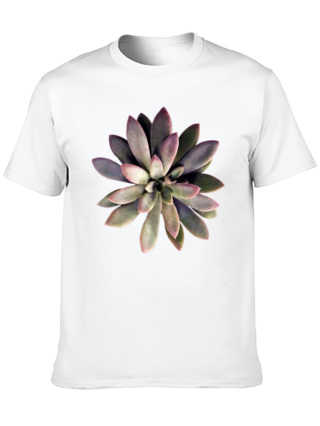 Succulent Graphic Print Black T-Shirt