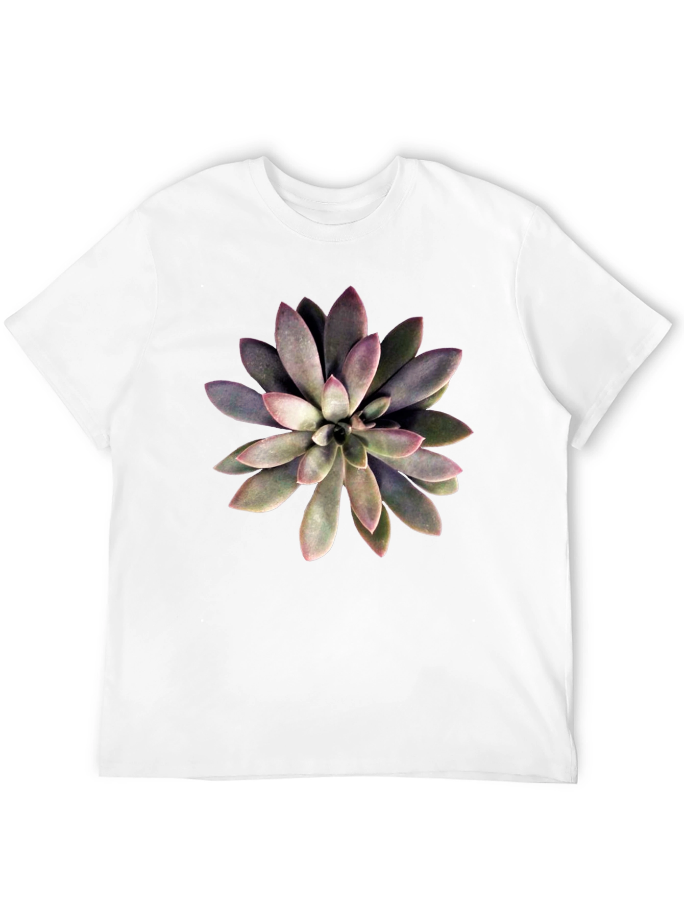 Succulent Graphic Print Black T-Shirt
