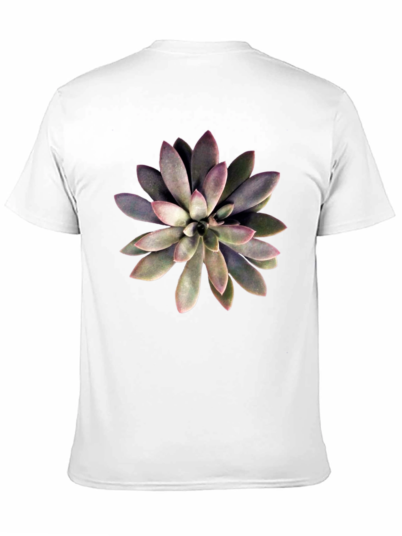 Succulent Graphic Print Black T-Shirt