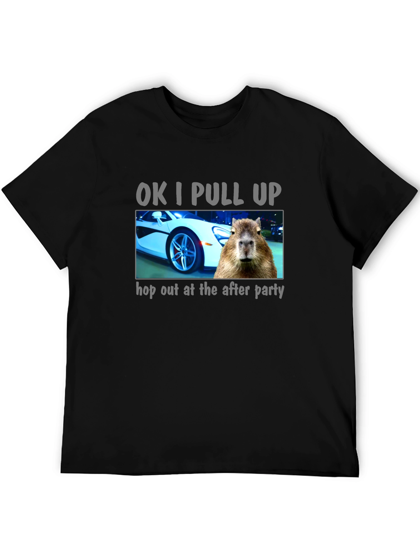 OK I Pull Up Capybara T-Shirt