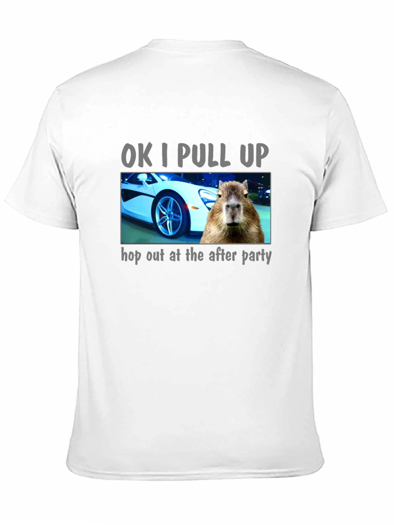 OK I Pull Up Capybara T-Shirt