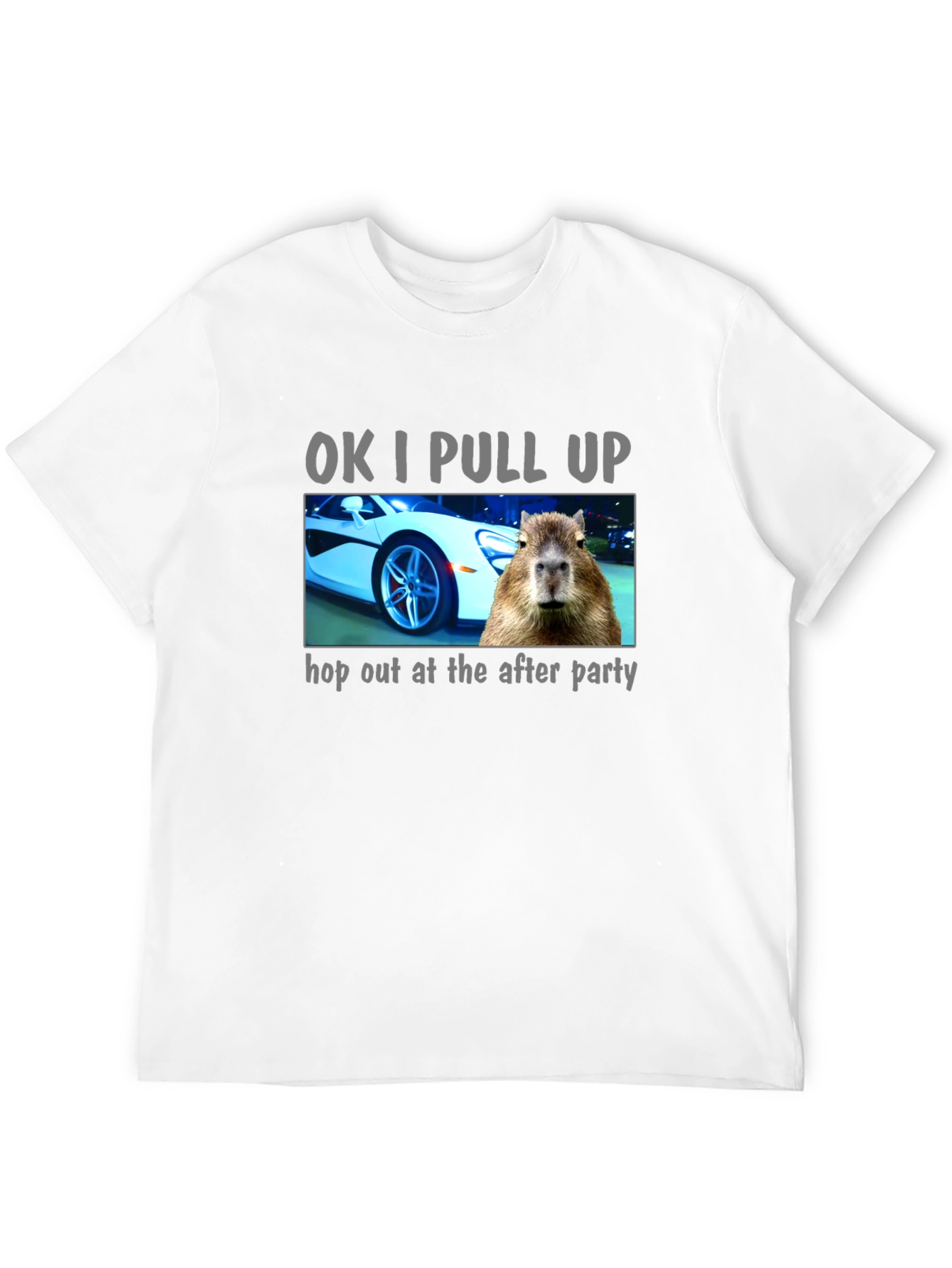 OK I Pull Up Capybara T-Shirt