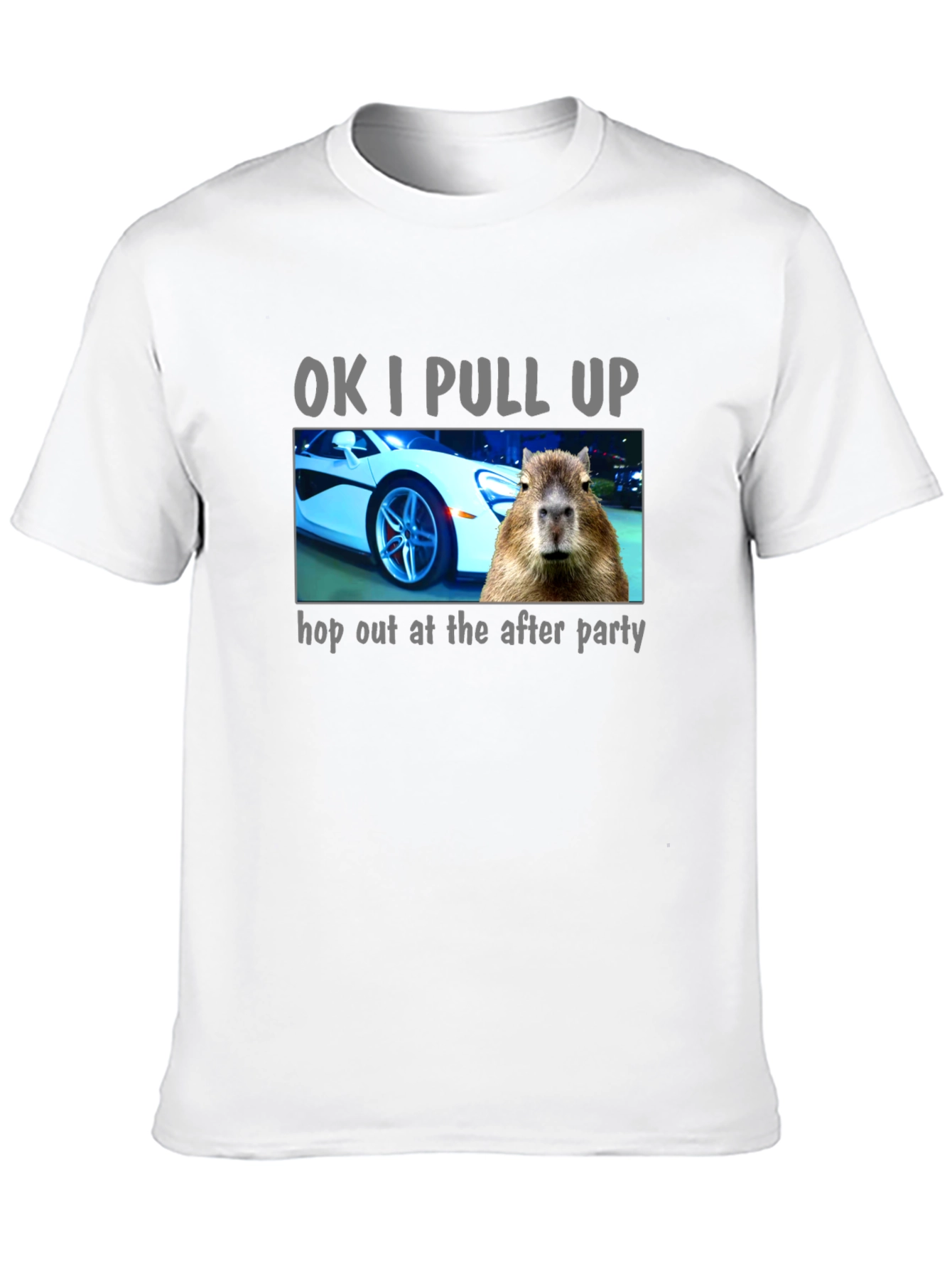OK I Pull Up Capybara T-Shirt