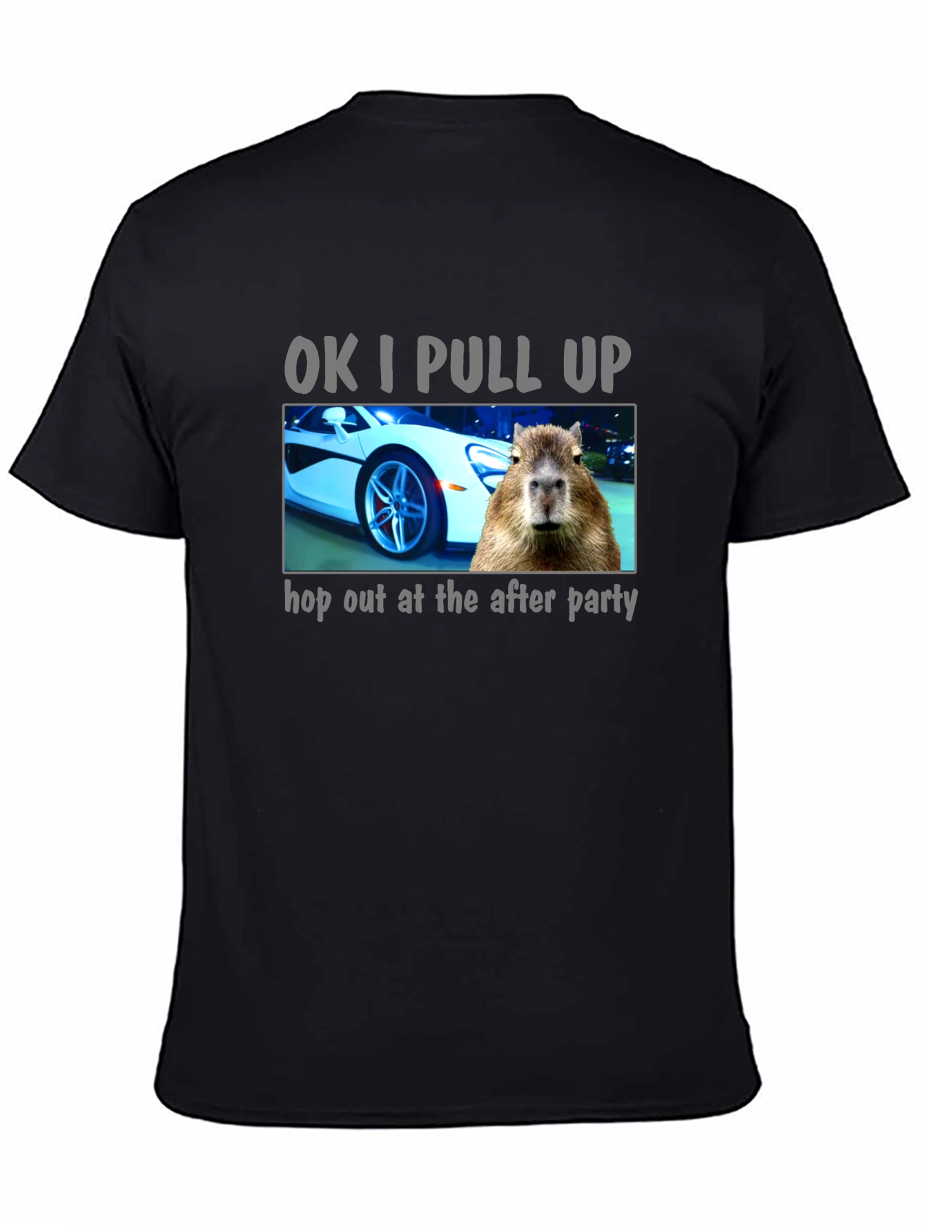OK I Pull Up Capybara T-Shirt