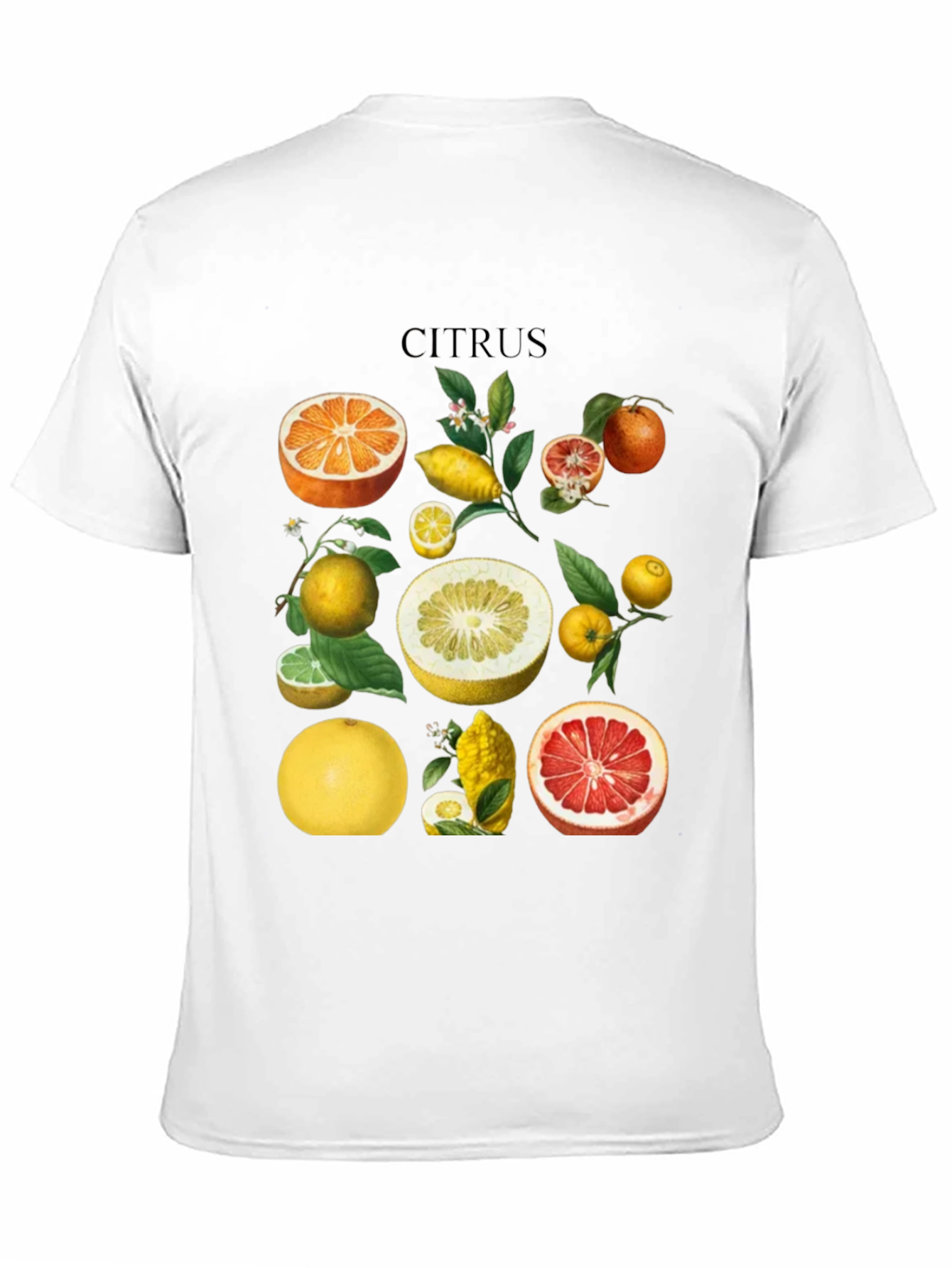 Citrus Fruit Graphic T-Shirt - Black Cotton Tee