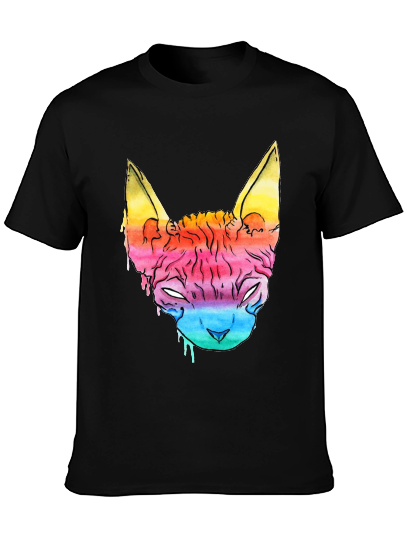 Rainbow Cat Graphic Tee - Mens Black T-Shirt