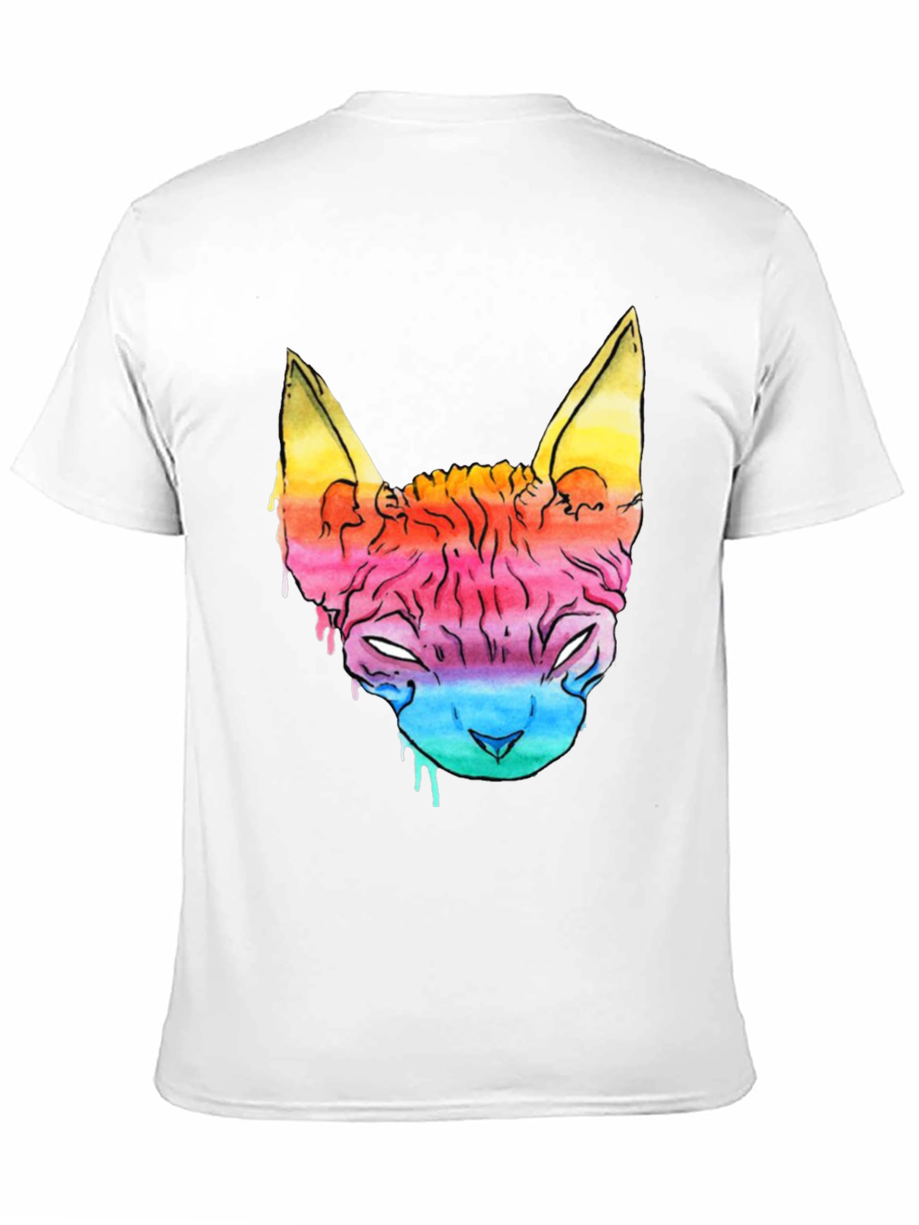 Rainbow Cat Graphic Tee - Mens Black T-Shirt