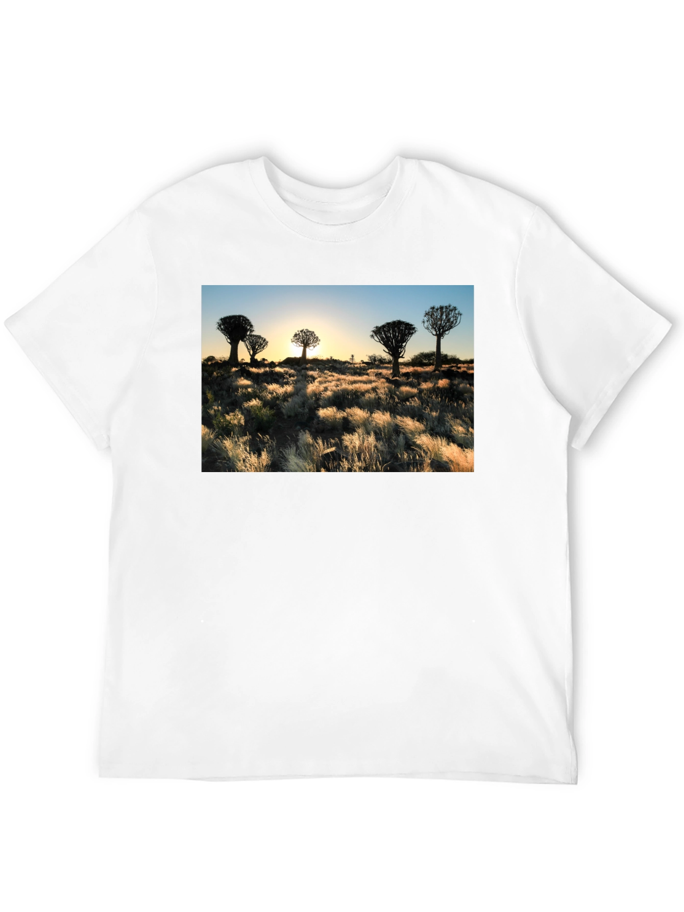 Sunset Quiver Tree Graphic Black T-Shirt