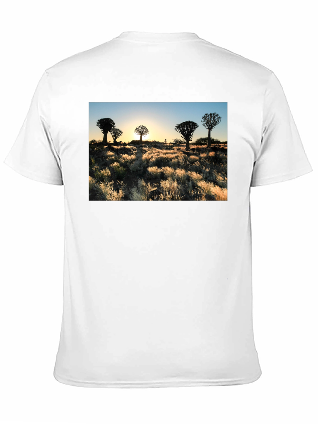 Sunset Quiver Tree Graphic Black T-Shirt