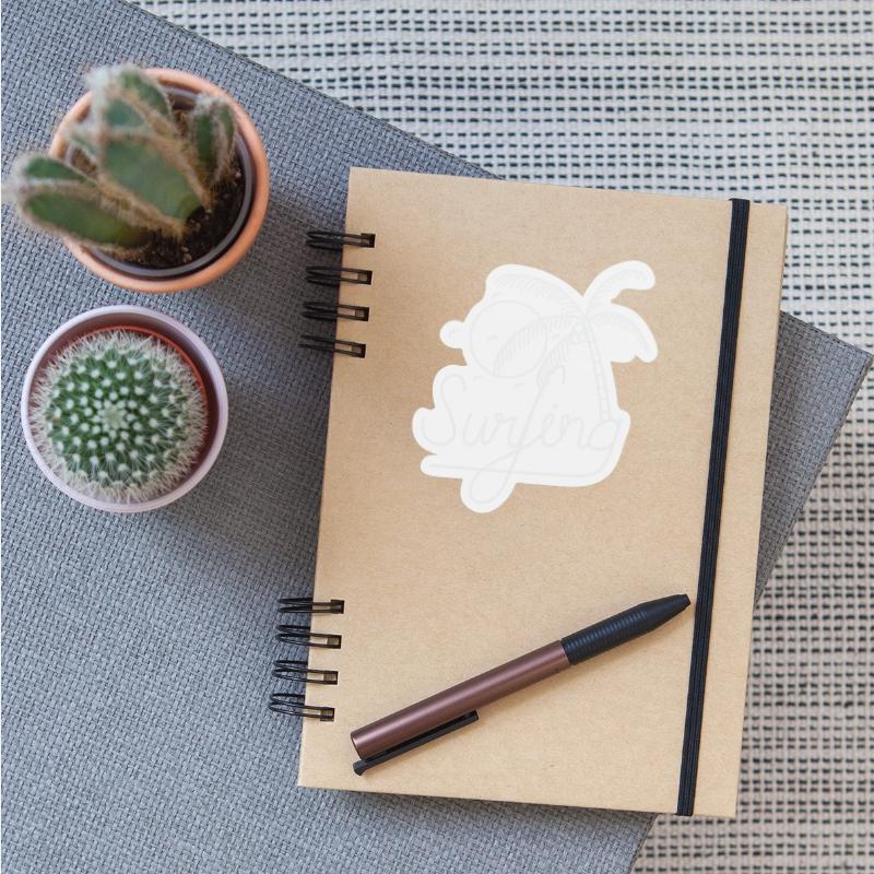 Surfing Wind Water Sports