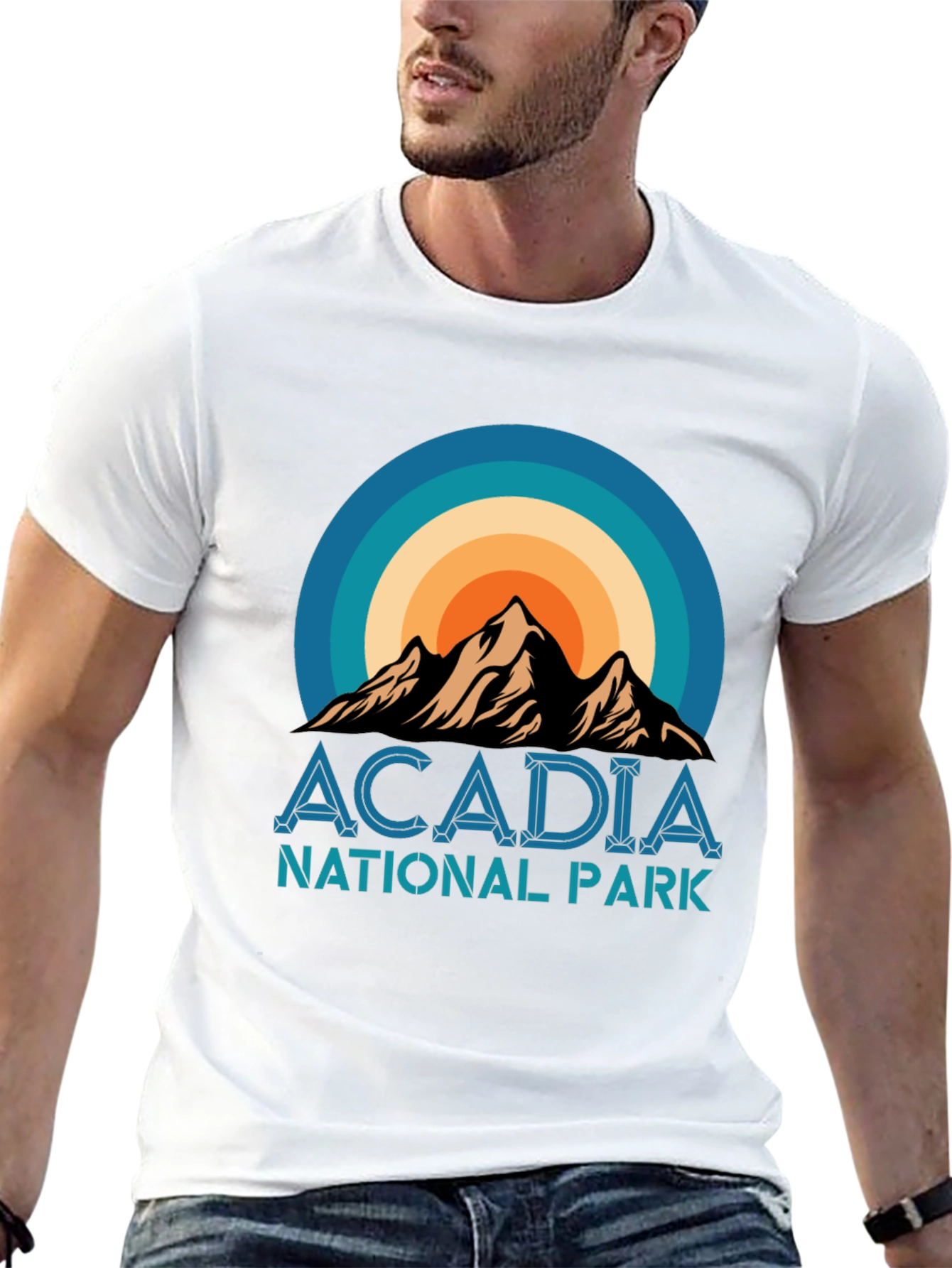Acadia National Park Retro T-Shirt