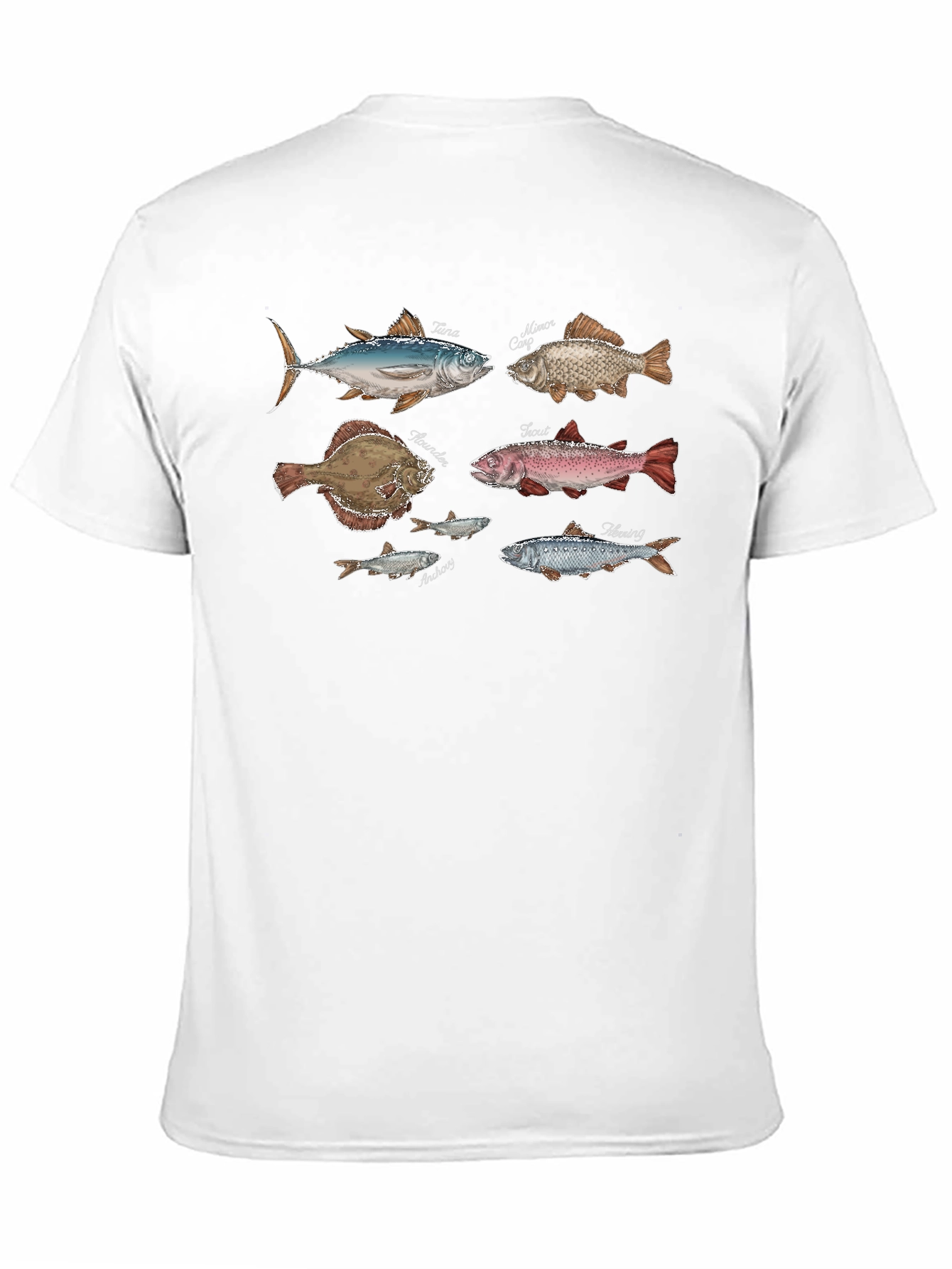 Fish Species Graphic Print Tee