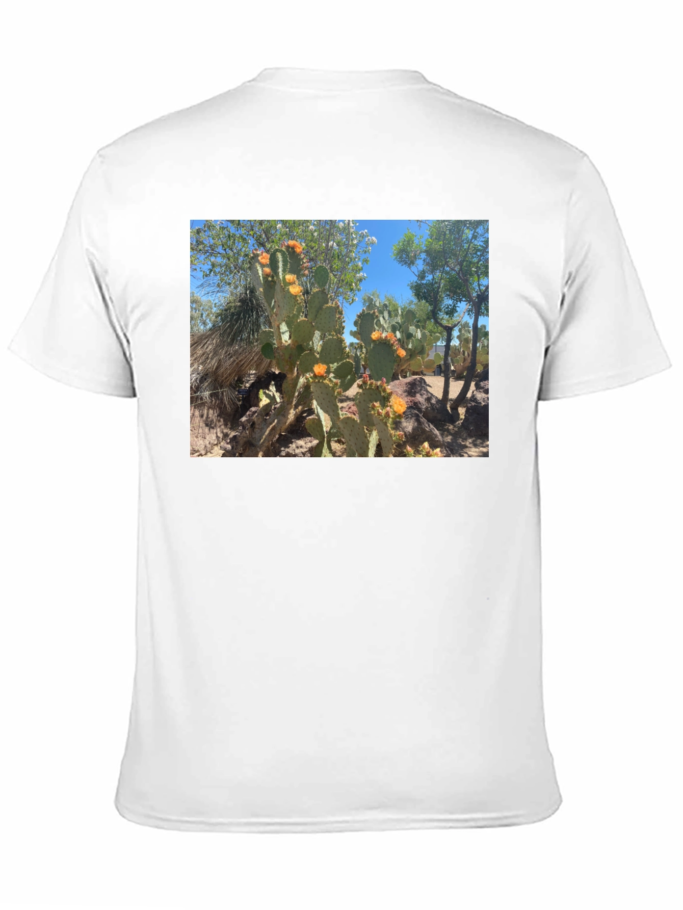 Cactus Graphic T-Shirt - Desert Bloom Tee