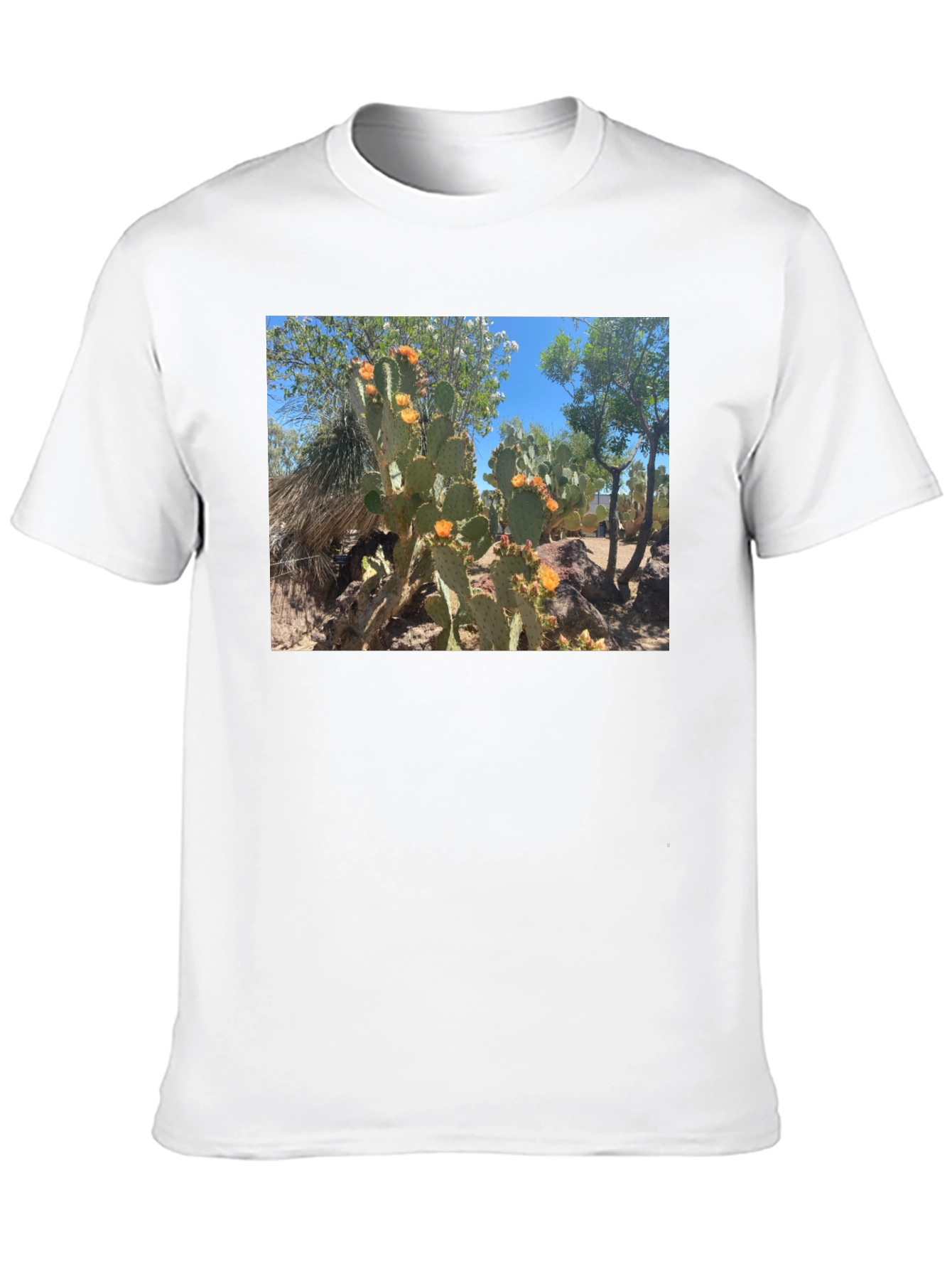 Cactus Graphic T-Shirt - Desert Bloom Tee