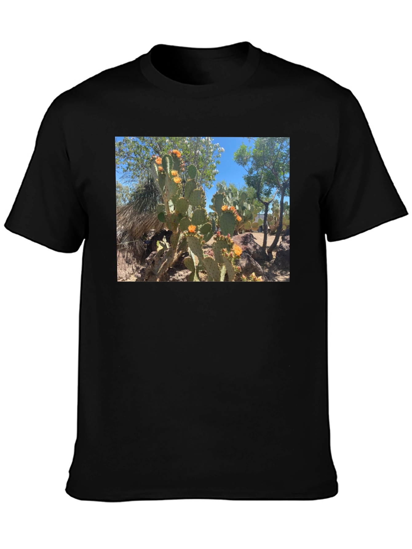 Cactus Graphic T-Shirt - Desert Bloom Tee