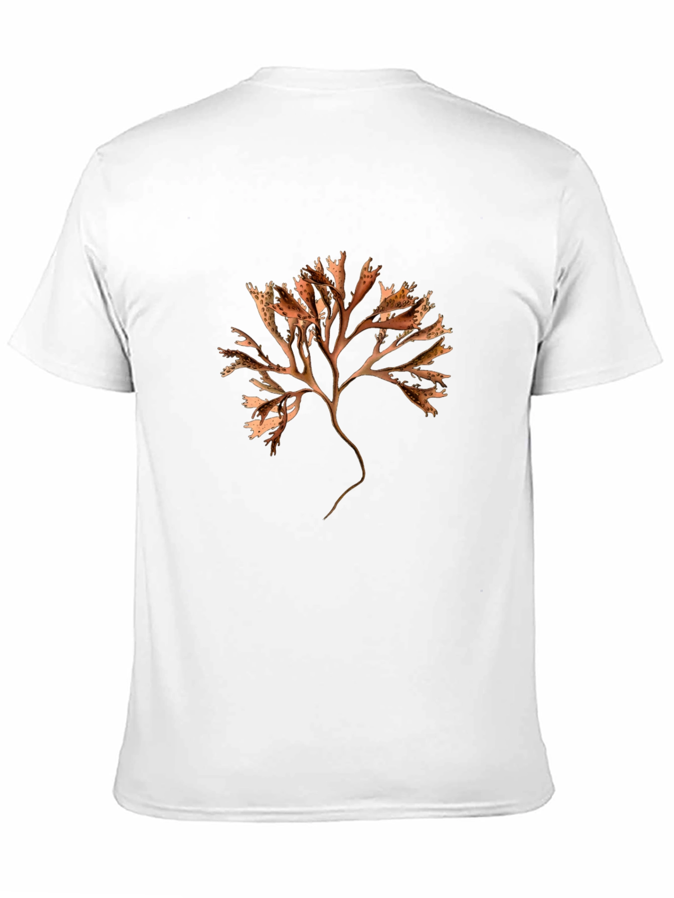 Botanical Seaweed Print Black T-Shirt