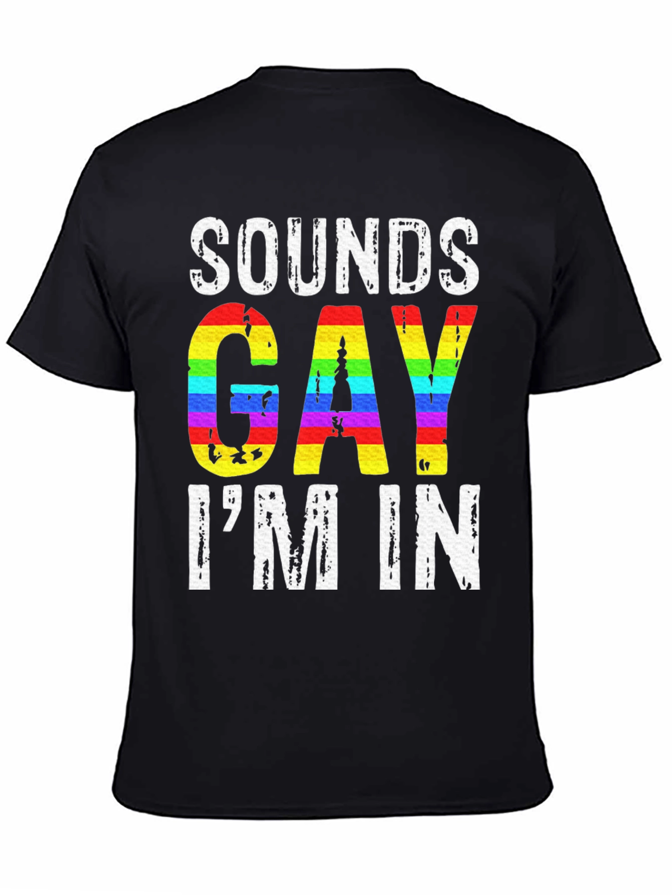 Sounds Gay Im In Graphic Tee
