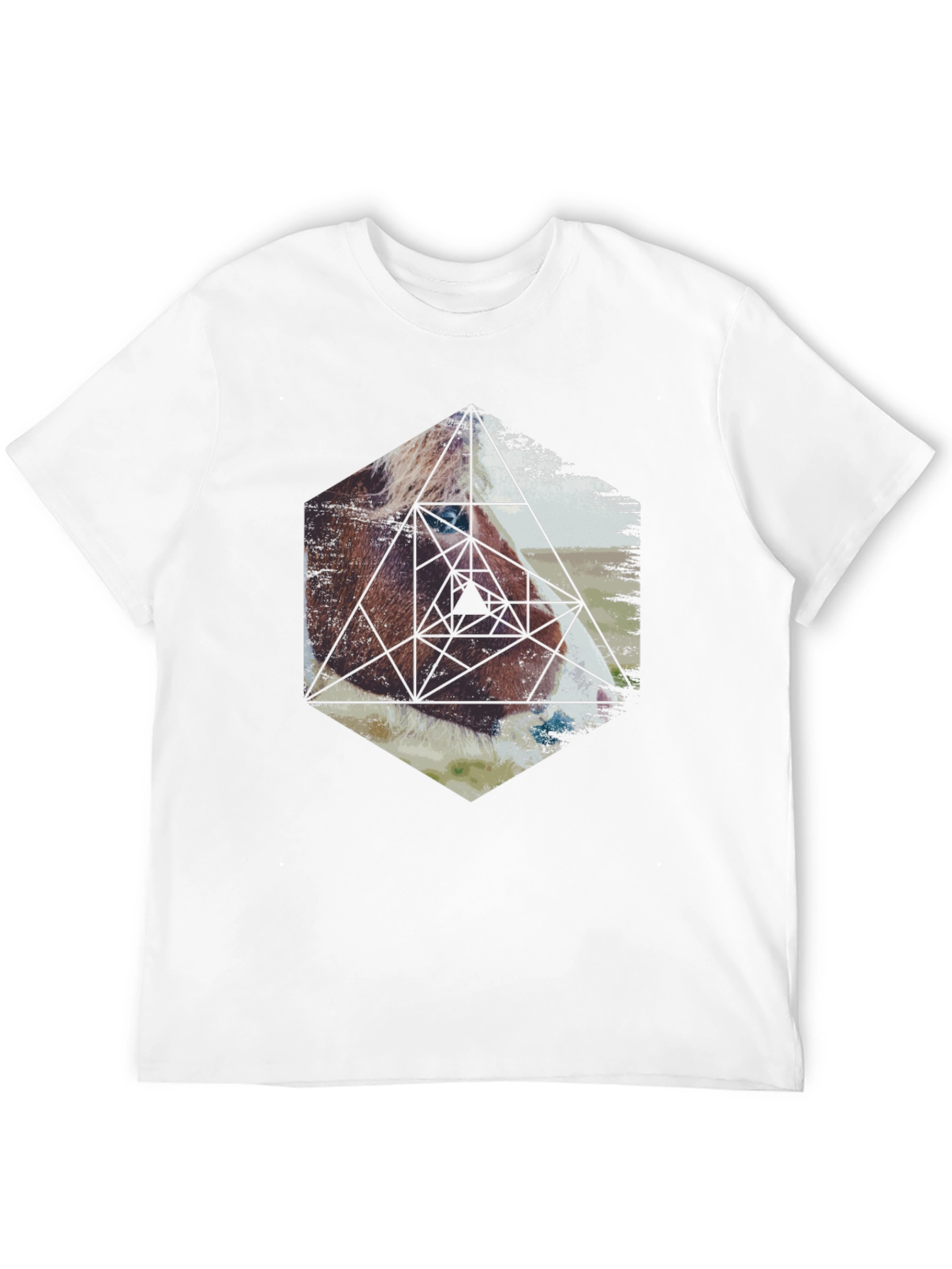 Geometric Horse Graphic Tee - Modern Animal Print