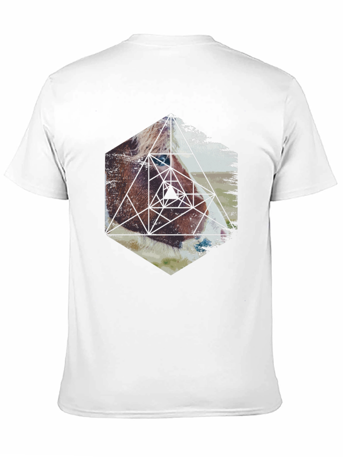 Geometric Horse Graphic Tee - Modern Animal Print
