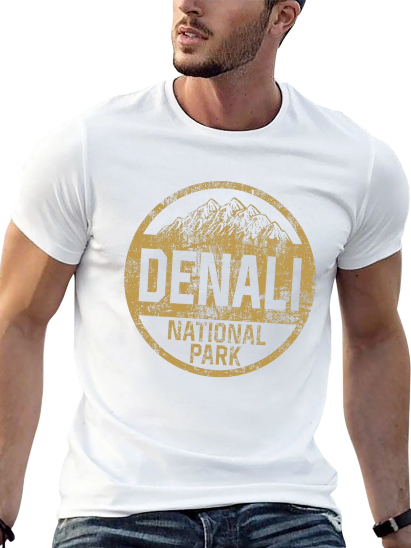 Denali National Park Black T-Shirt