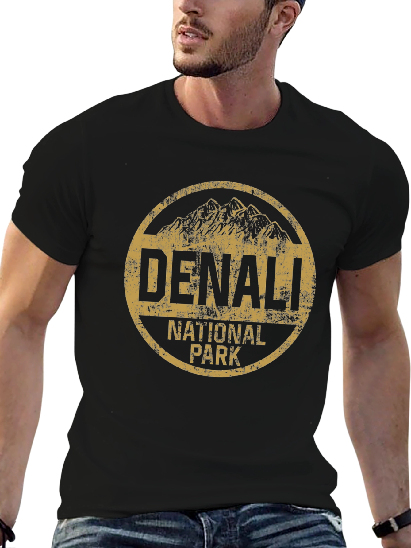 Denali National Park Black T-Shirt