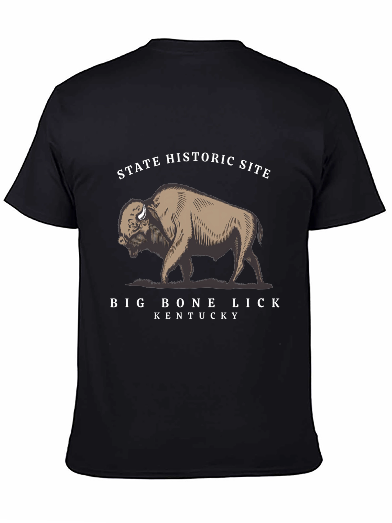 Big Bone Lick State Historic Site T-Shirt