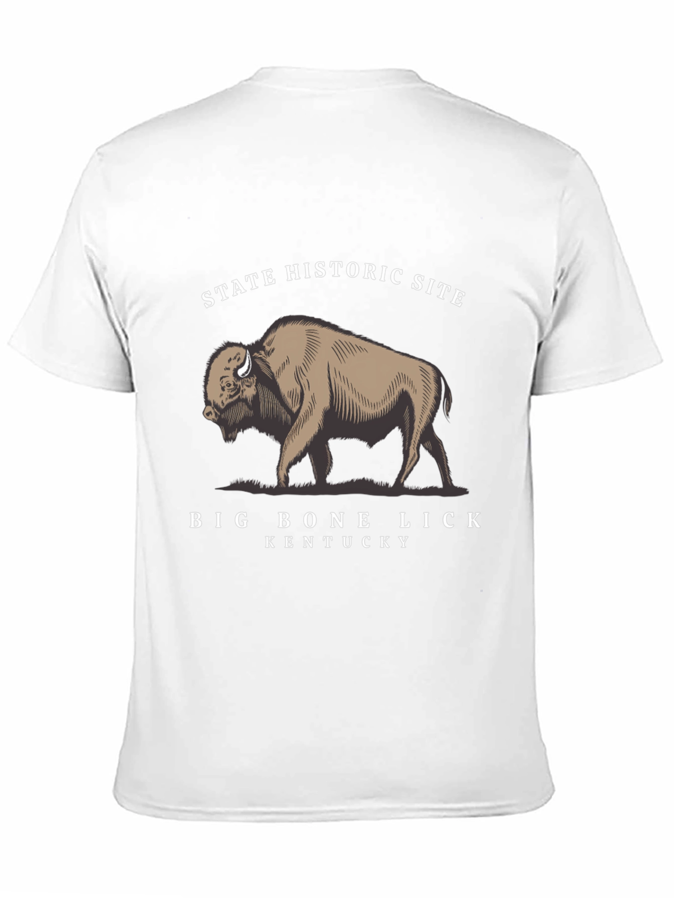 Big Bone Lick State Historic Site T-Shirt