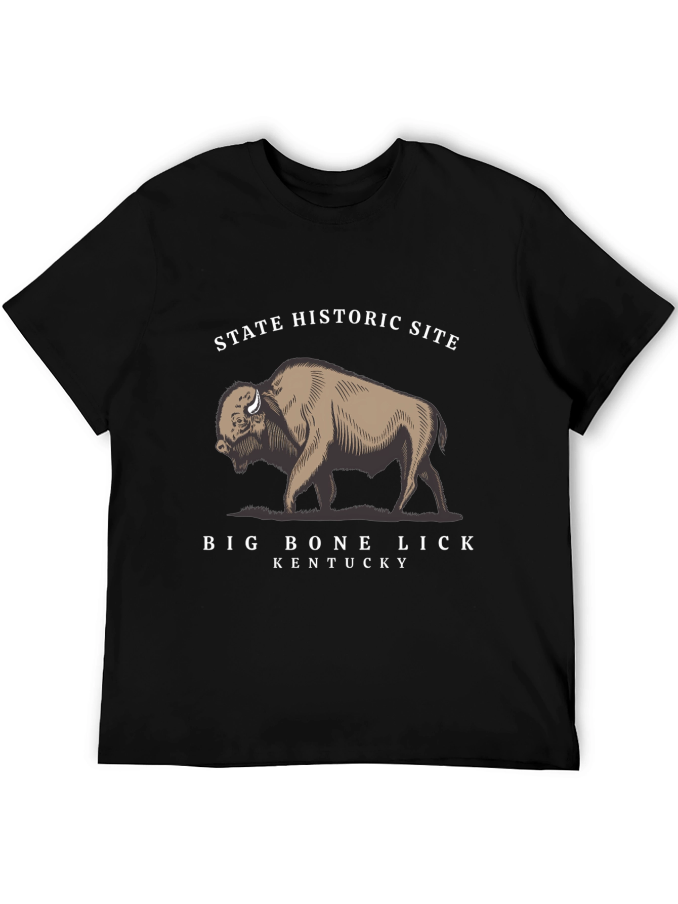 Big Bone Lick State Historic Site T-Shirt