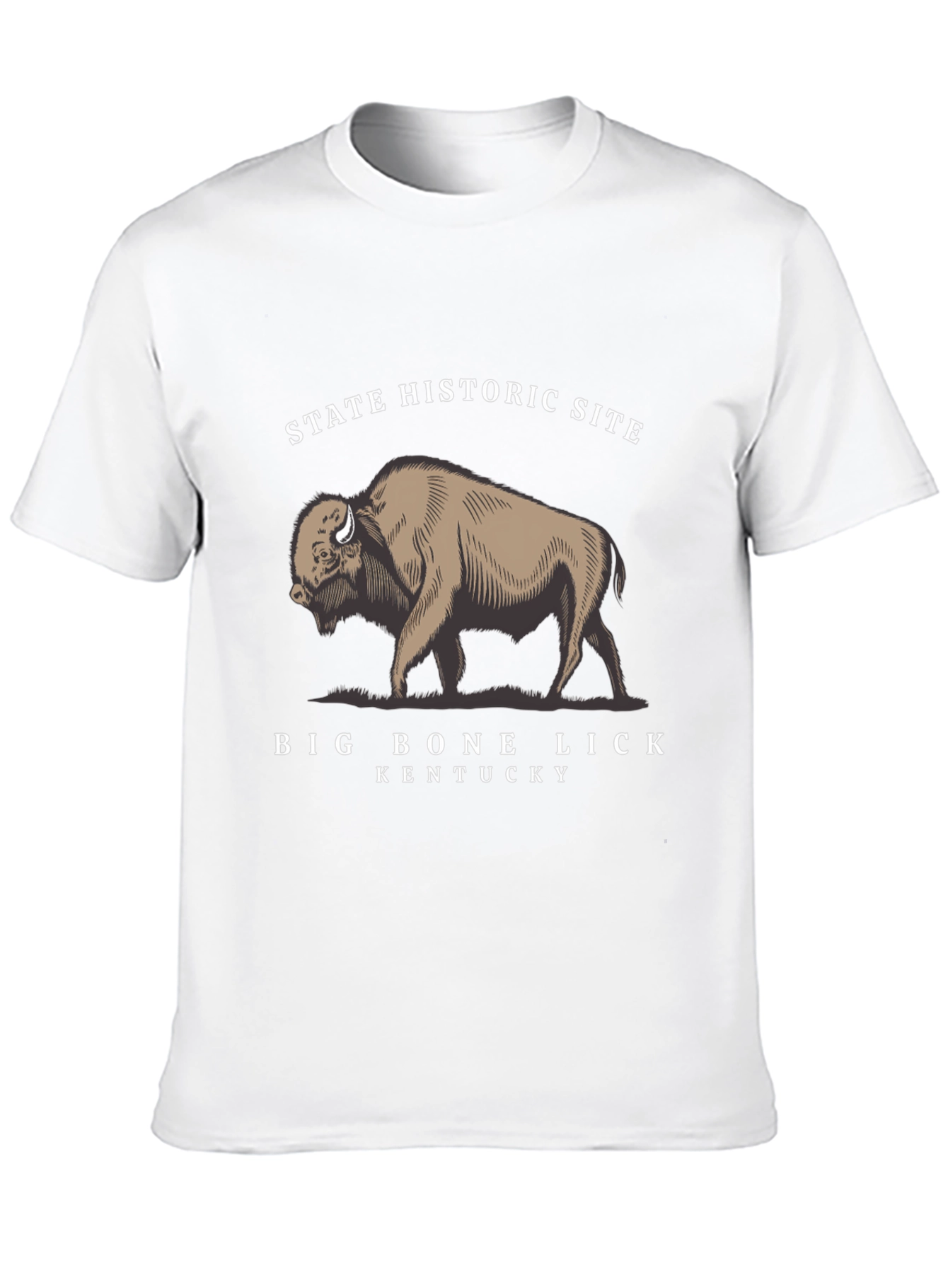 Big Bone Lick State Historic Site T-Shirt