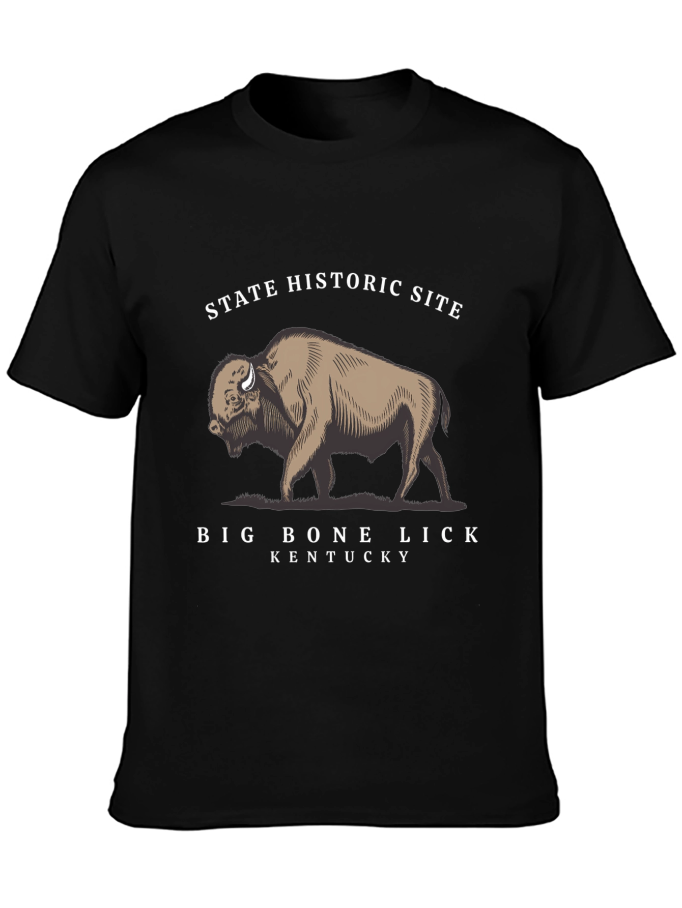 Big Bone Lick State Historic Site T-Shirt