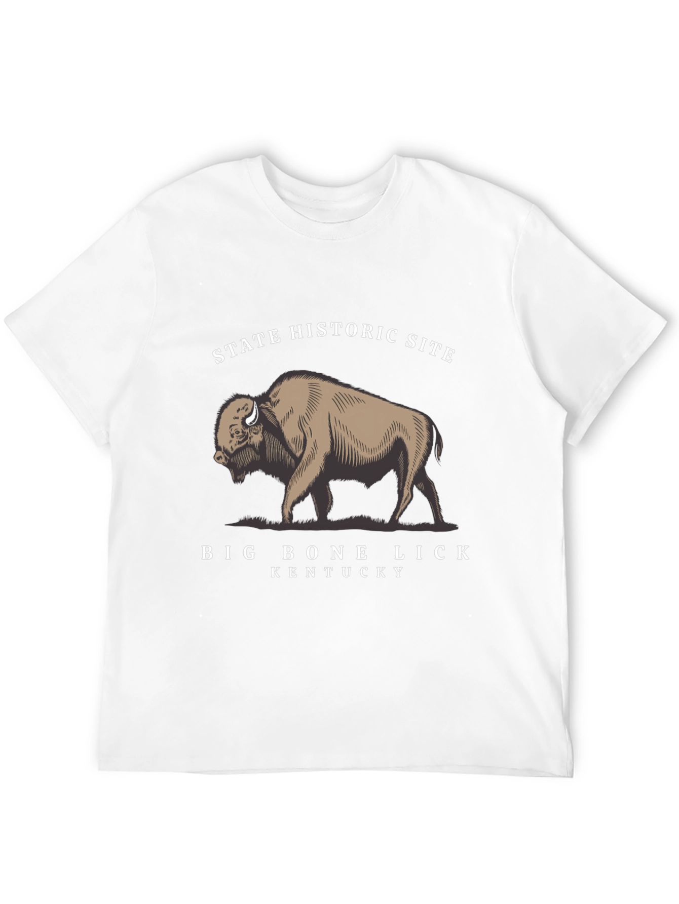 Big Bone Lick State Historic Site T-Shirt