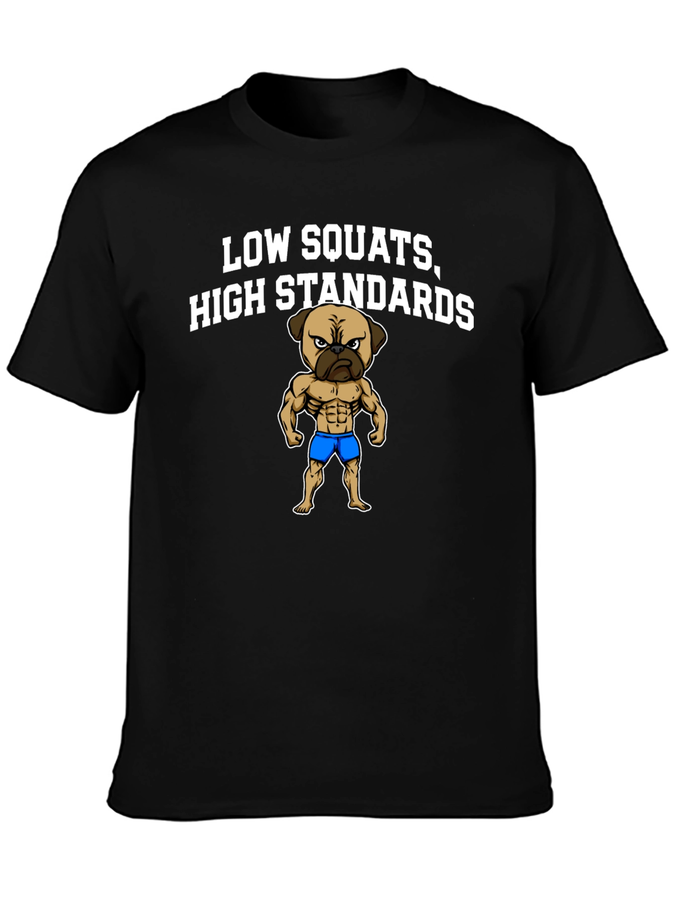 Low Squats High Standards Graphic T-Shirt