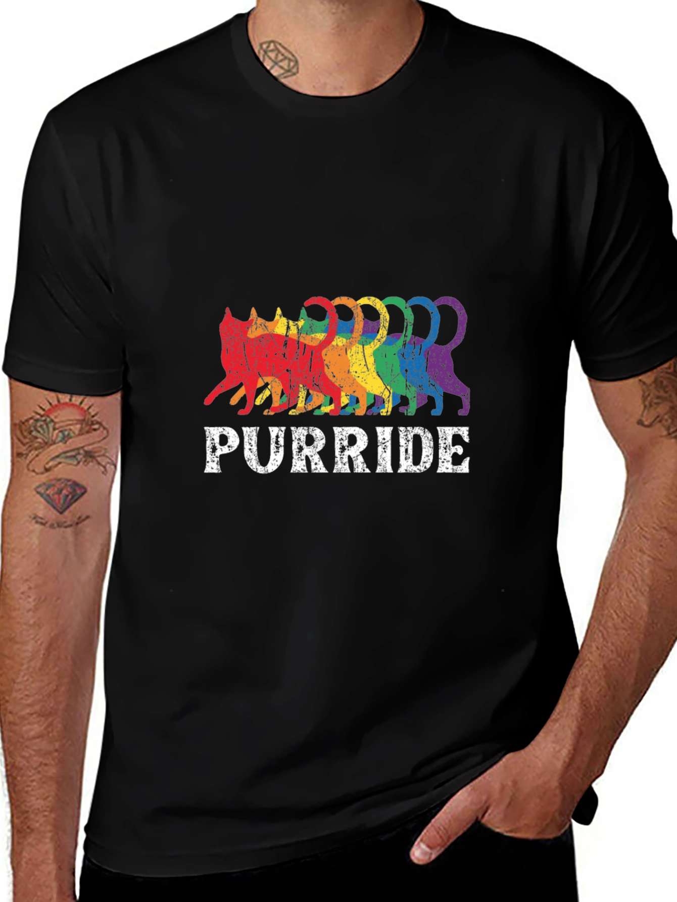 Purride Rainbow Cat T-Shirt