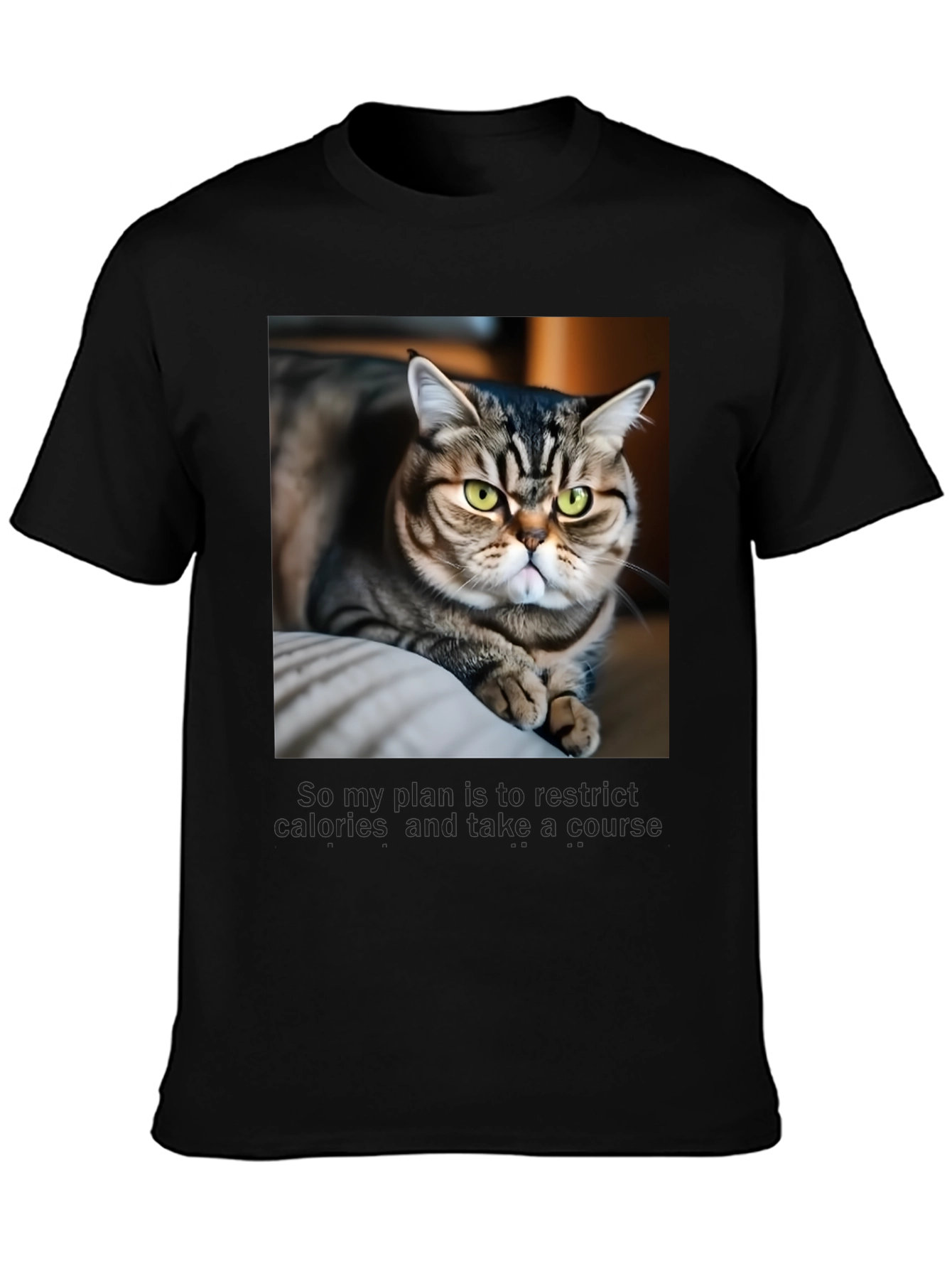Funny Cat Graphic T-Shirt - Unisex Black Tee