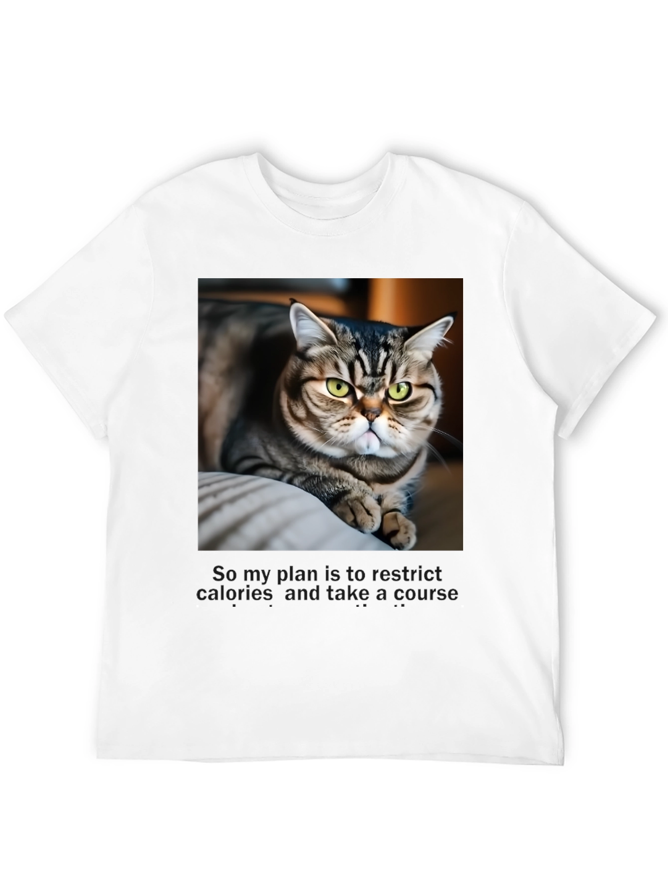 Funny Cat Graphic T-Shirt - Unisex Black Tee