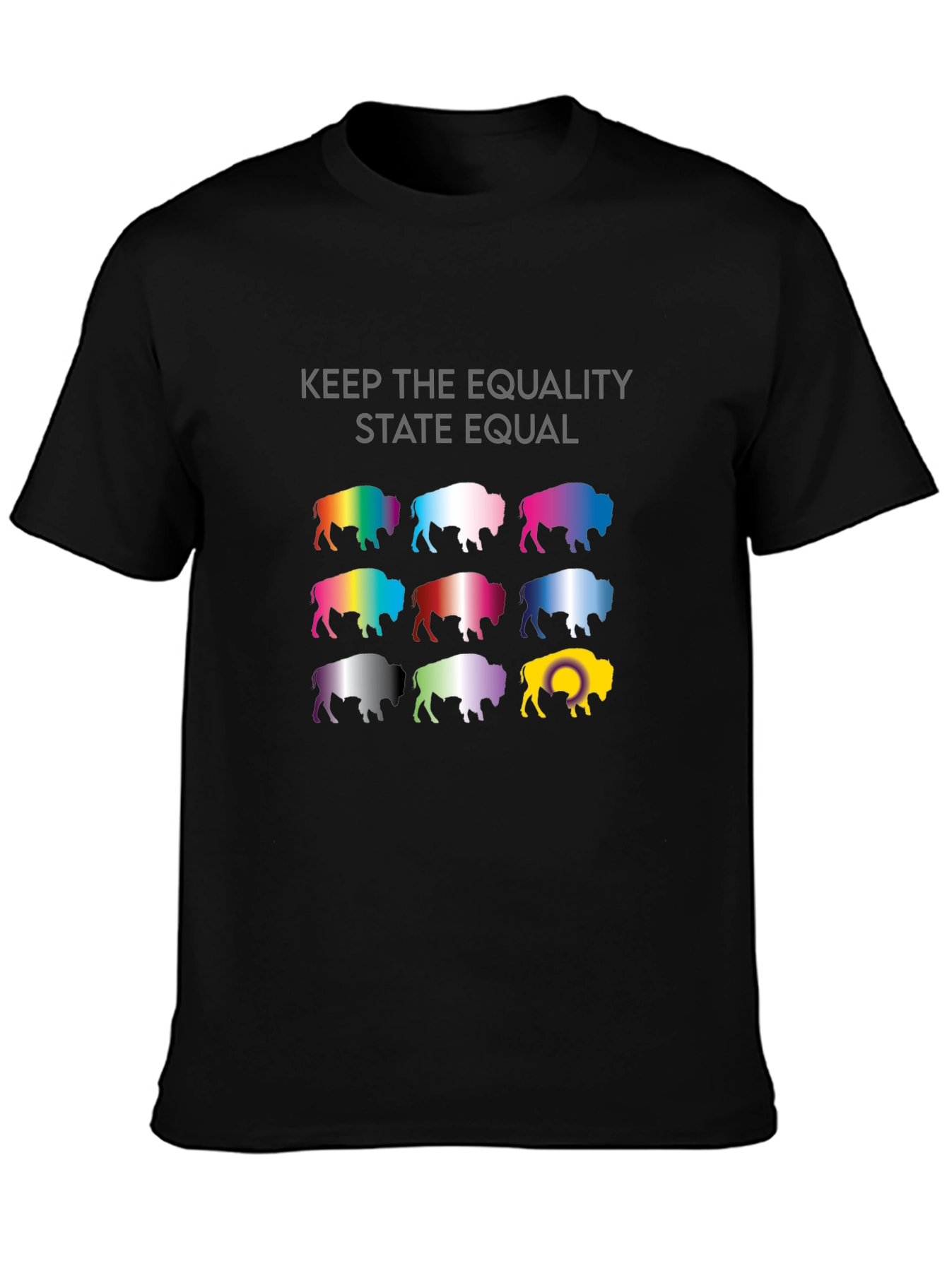 Equality State Buffalo T-Shirt