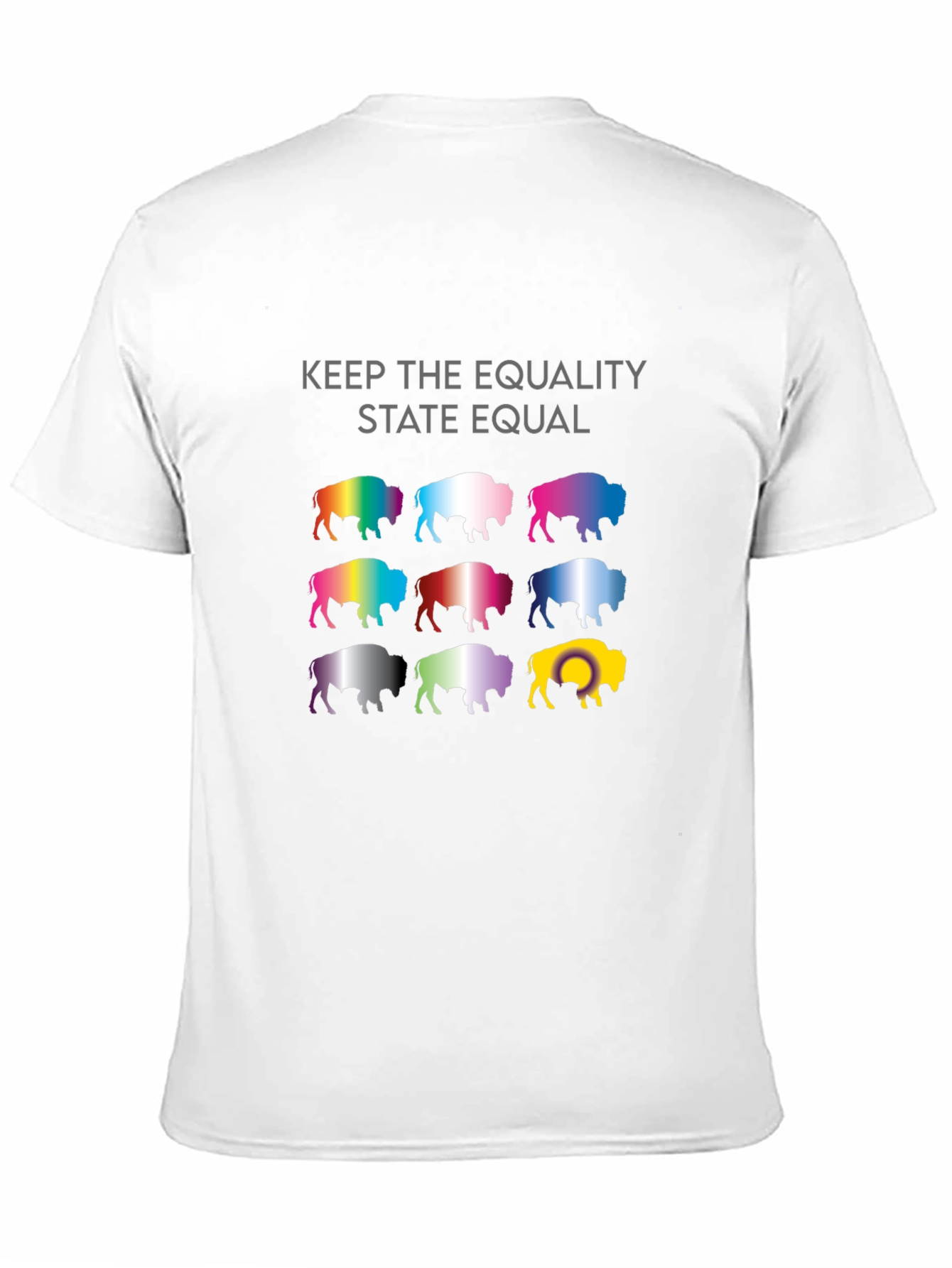 Equality State Buffalo T-Shirt
