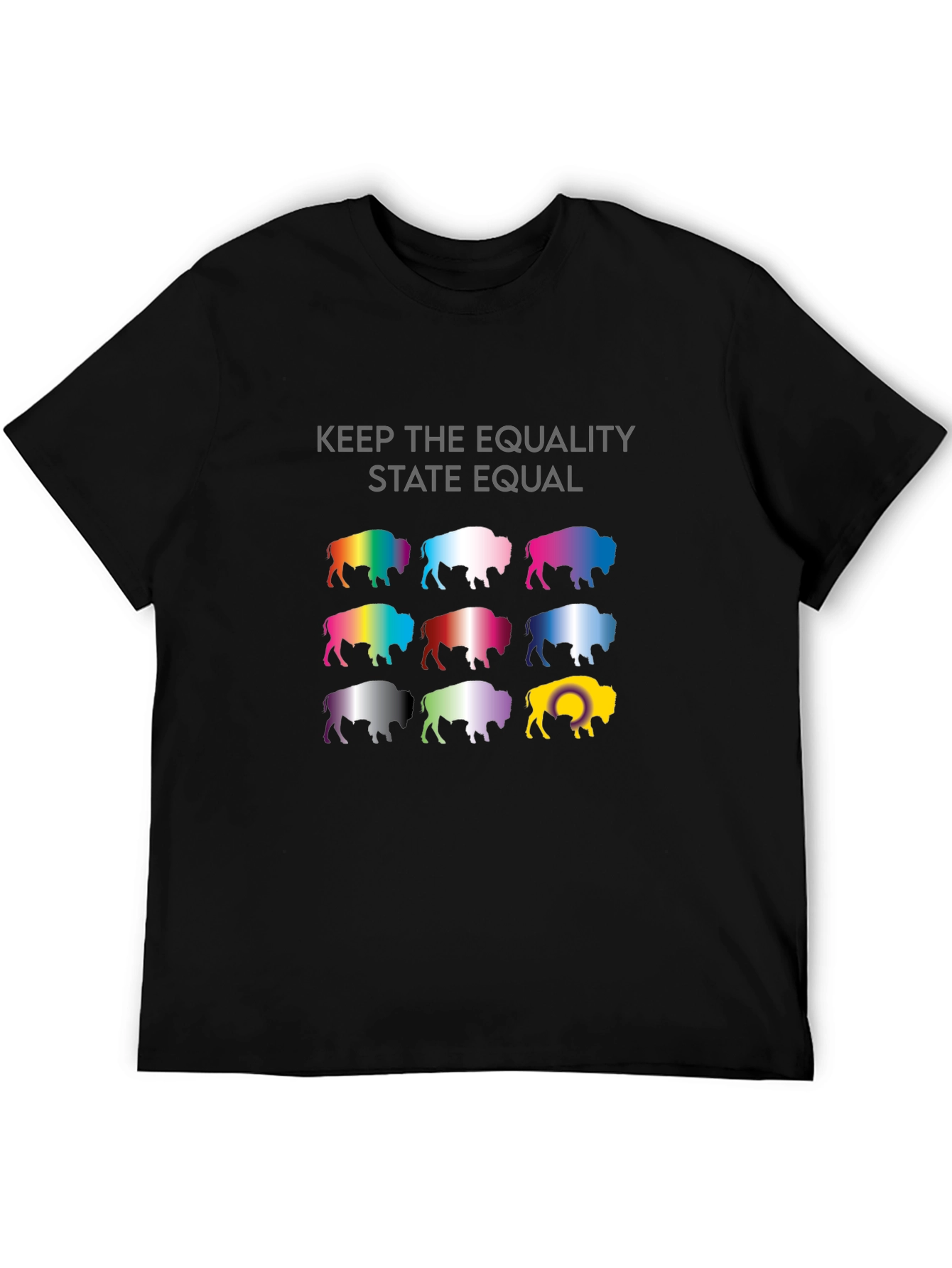 Equality State Buffalo T-Shirt