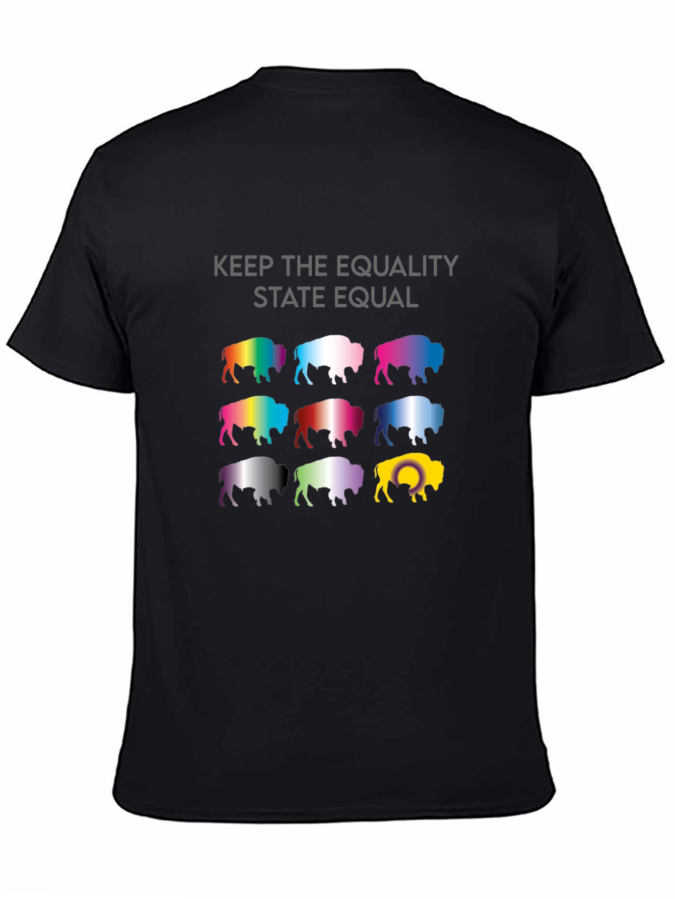 Equality State Buffalo T-Shirt